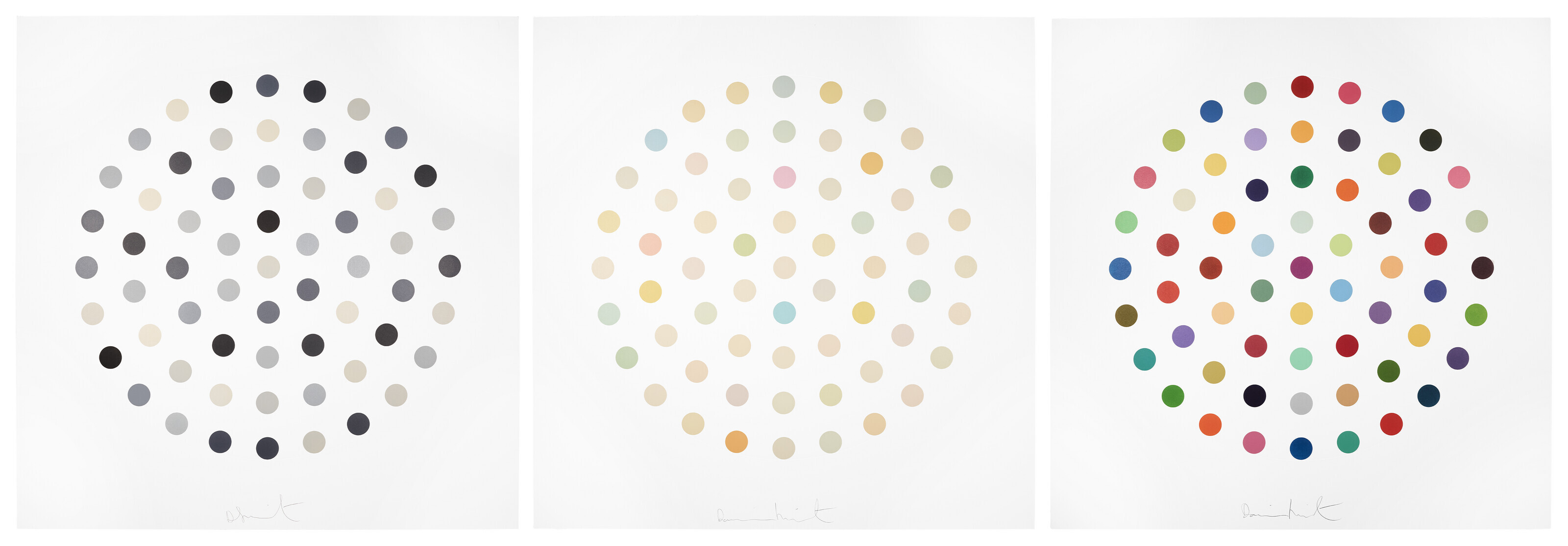 Damien Hirst - Cinchonidine; Ciclopirox Olamine; Cineole