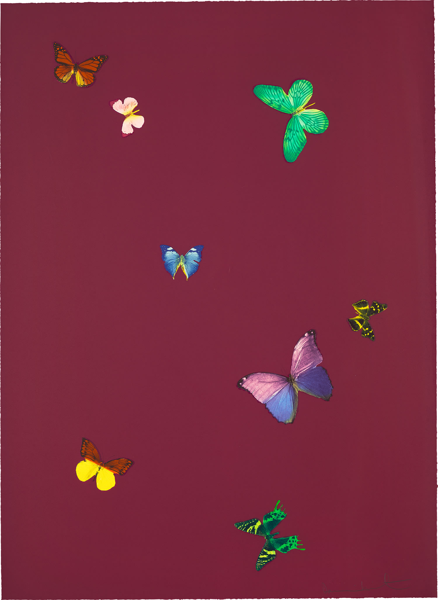 Damien Hirst - Your Smell, from The Wonder of You