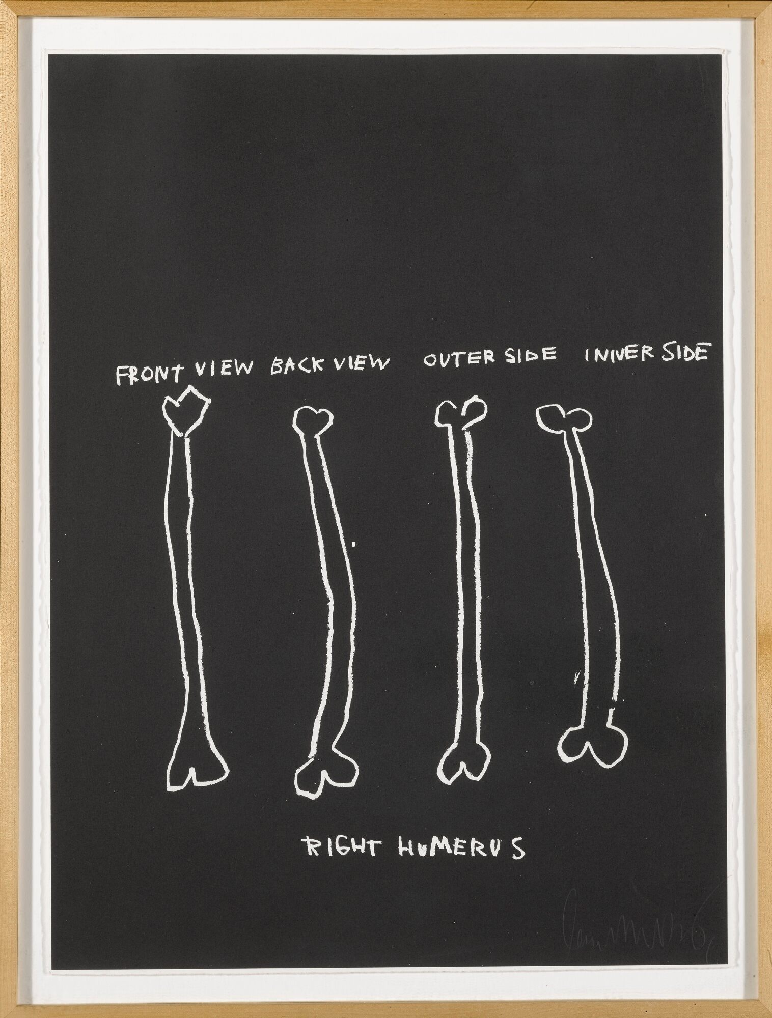 Jean-Michel Basquiat - Anatomy: 18 prints