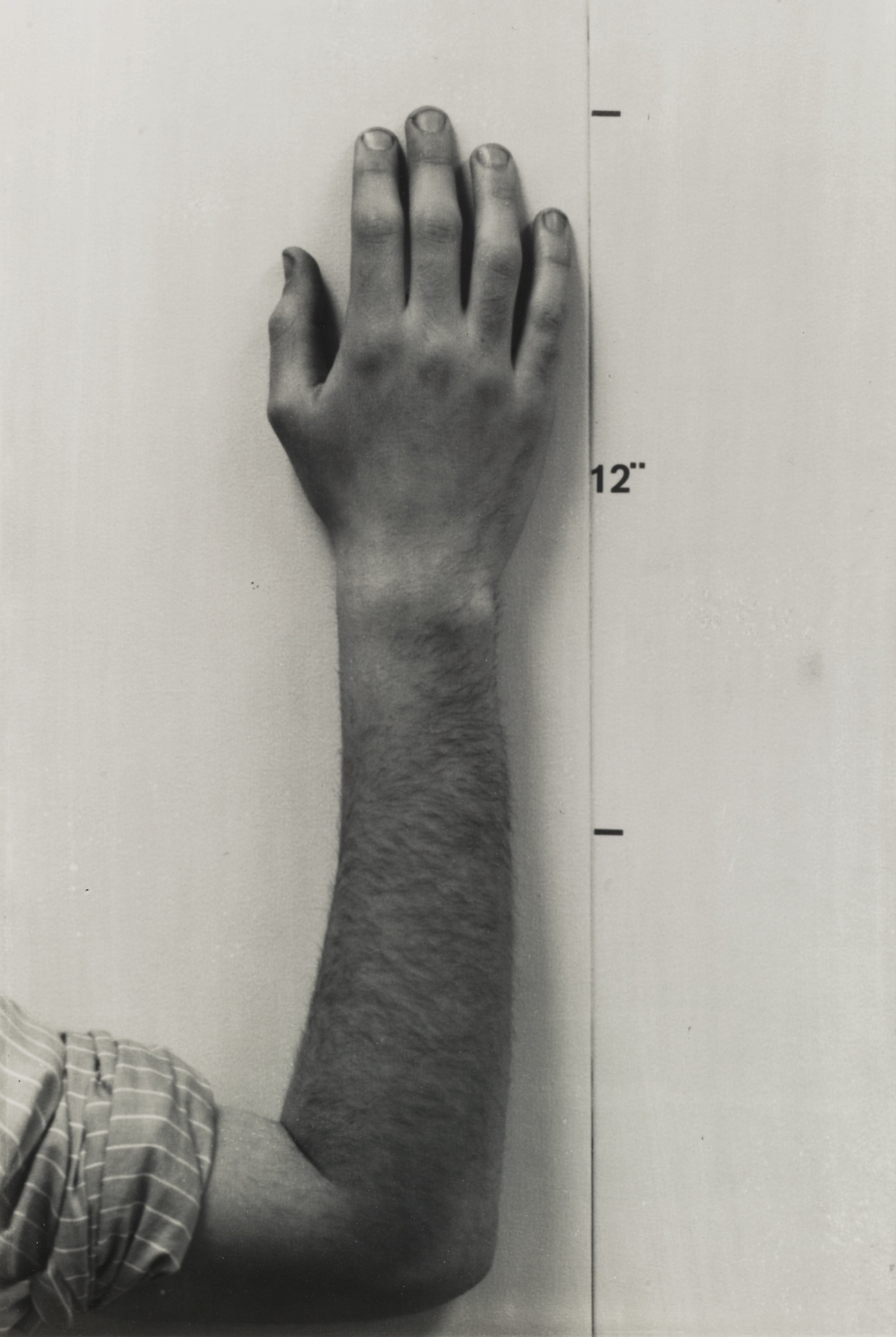 Mel Bochner - ACTUAL SIZE (HAND)