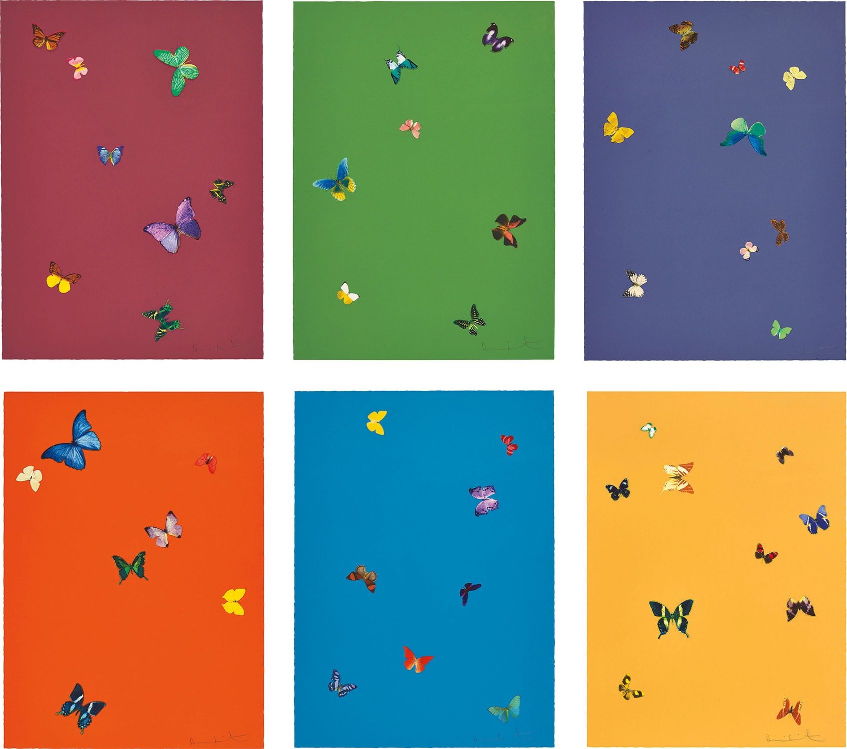 Damien Hirst - The Wonder of You
