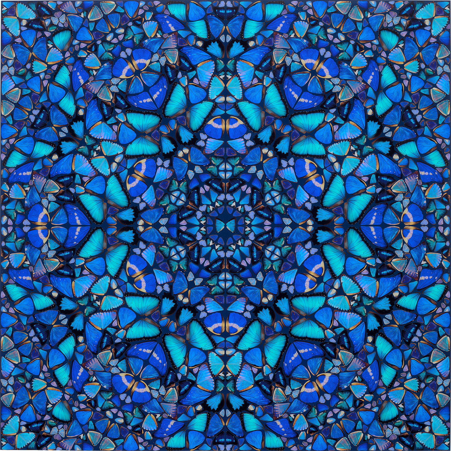Damien Hirst - Goodness, from The Aspects (H6-4)