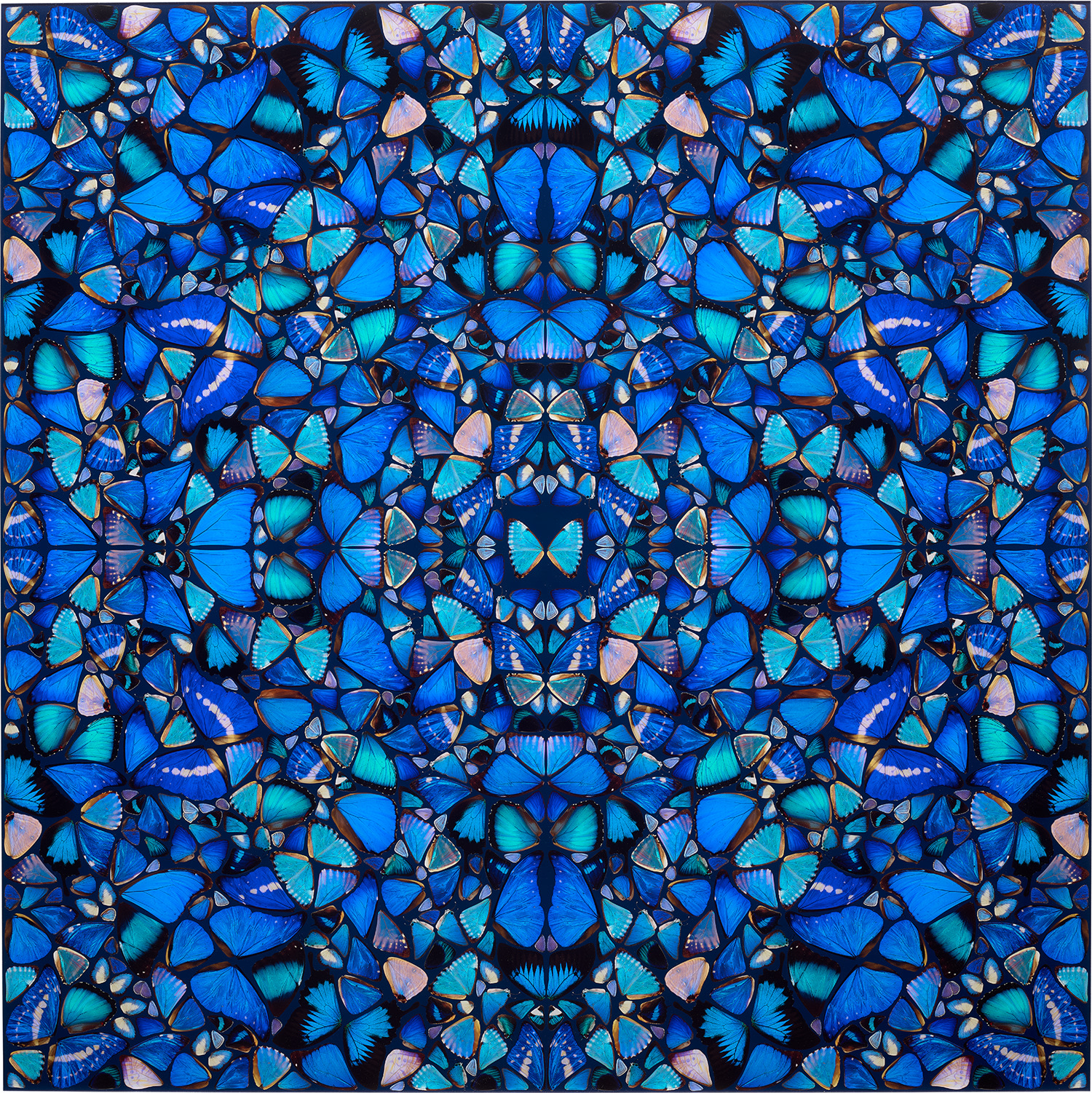 Damien Hirst - Grace, from The Aspects (H6-2)
