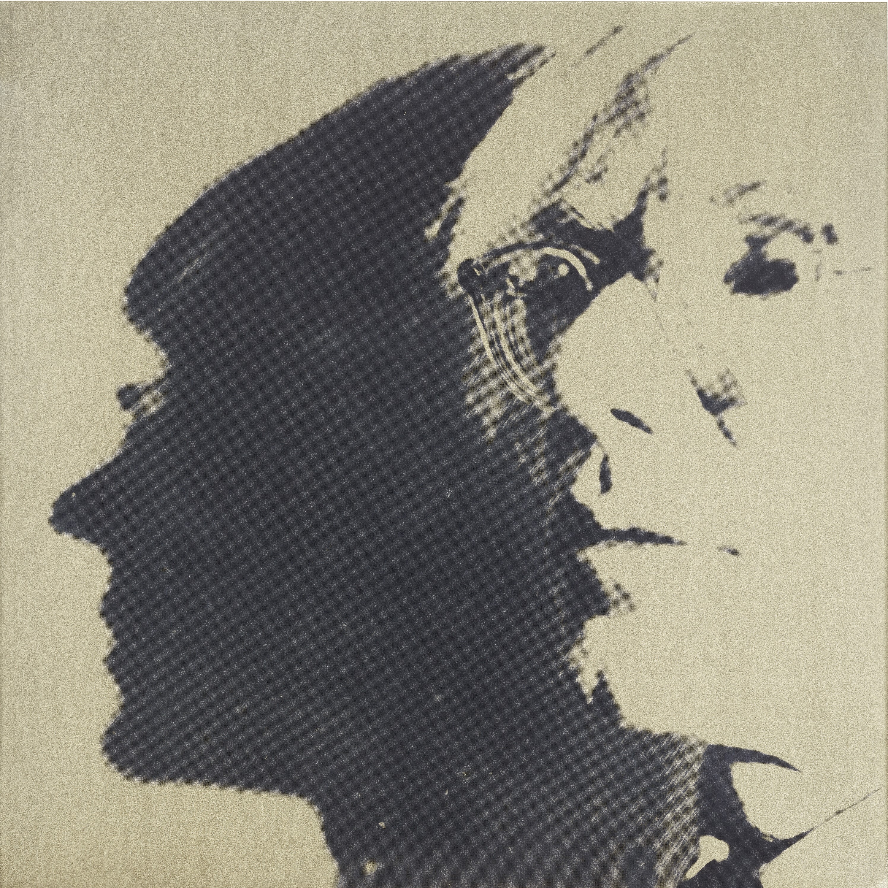 Andy Warhol - The Shadow