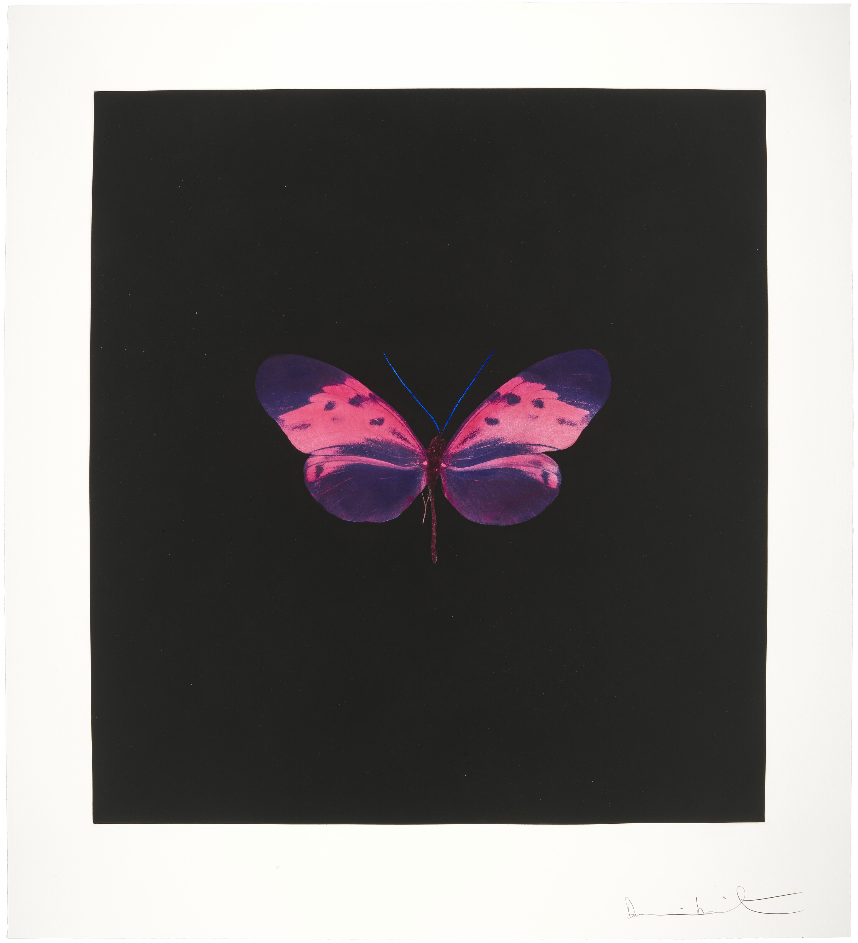 Damien Hirst - Memento: One Print