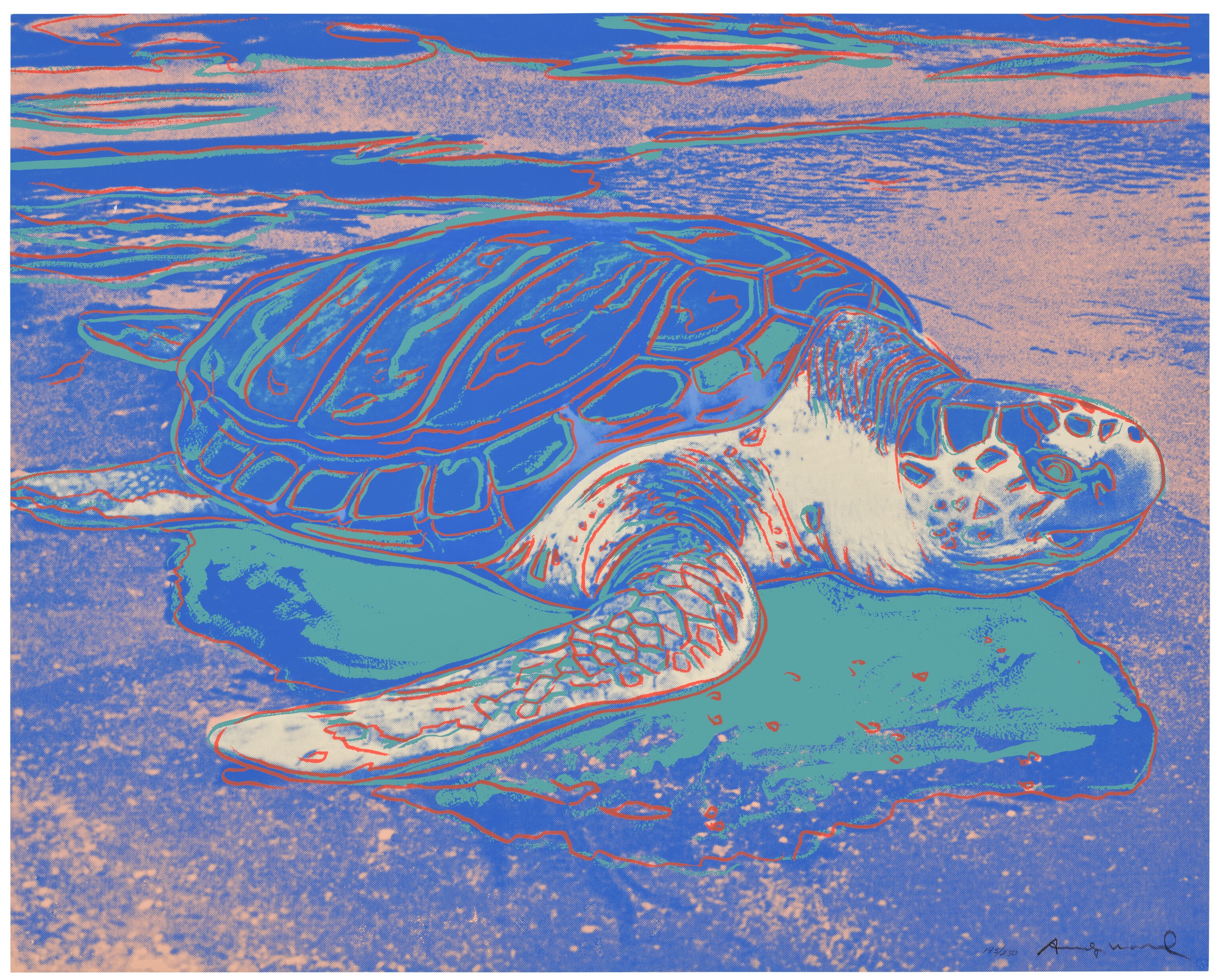 Andy Warhol - Turtle