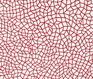 Yayoi Kusama - Infinity Nets 1958 (Kusama 14)