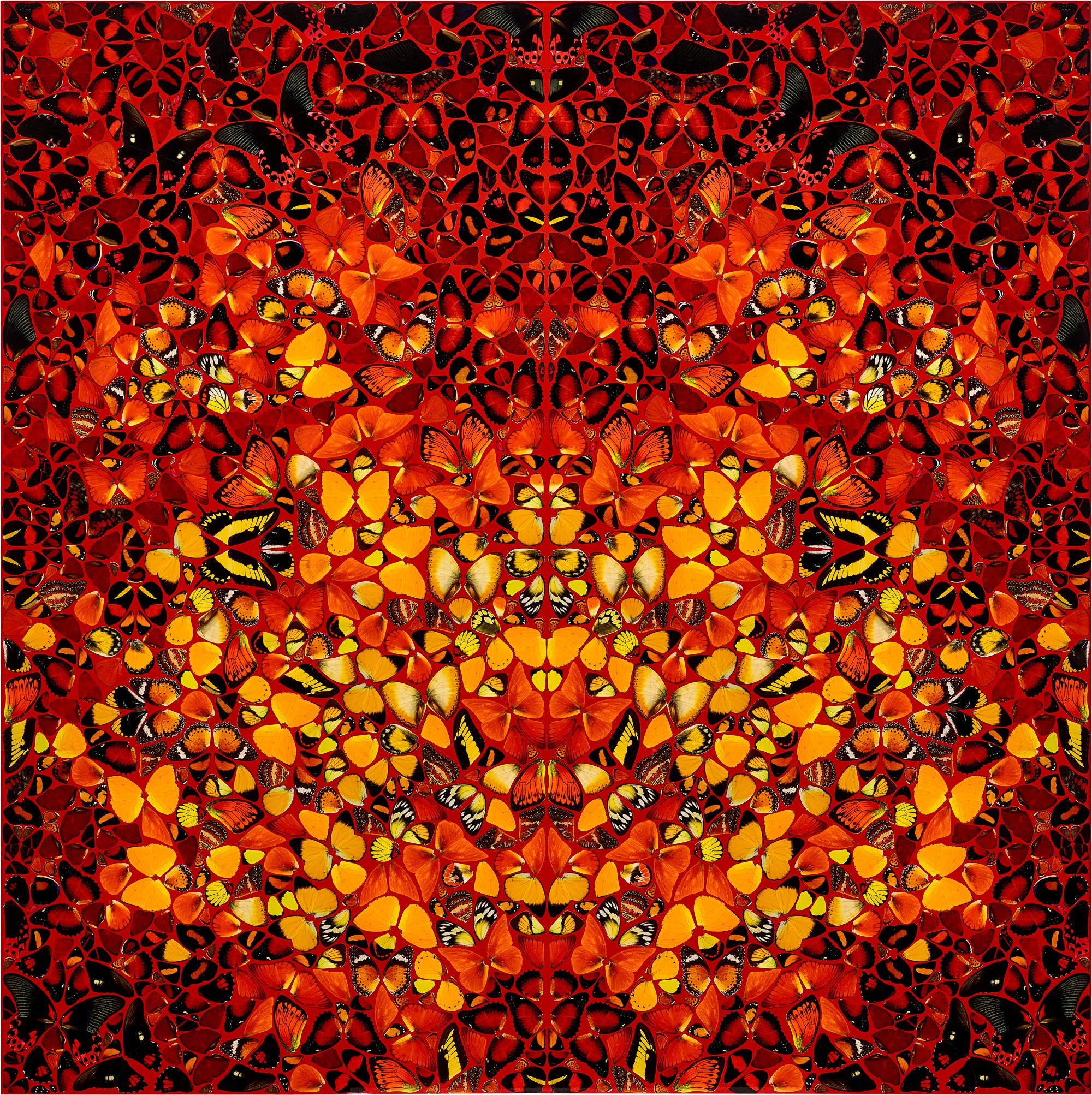Damien Hirst - Fire H6-8 (from The Elements series)