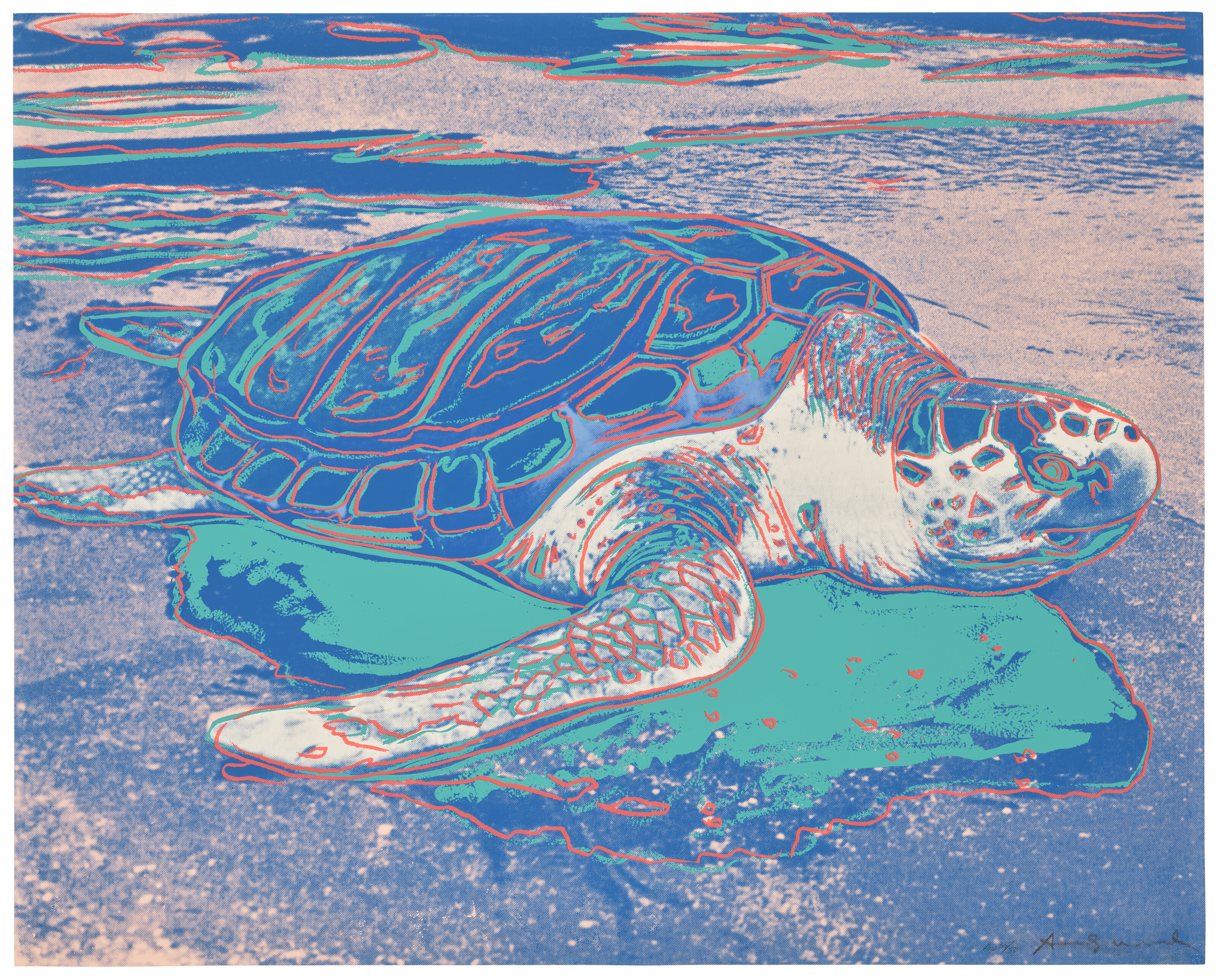 Andy Warhol - Turtle