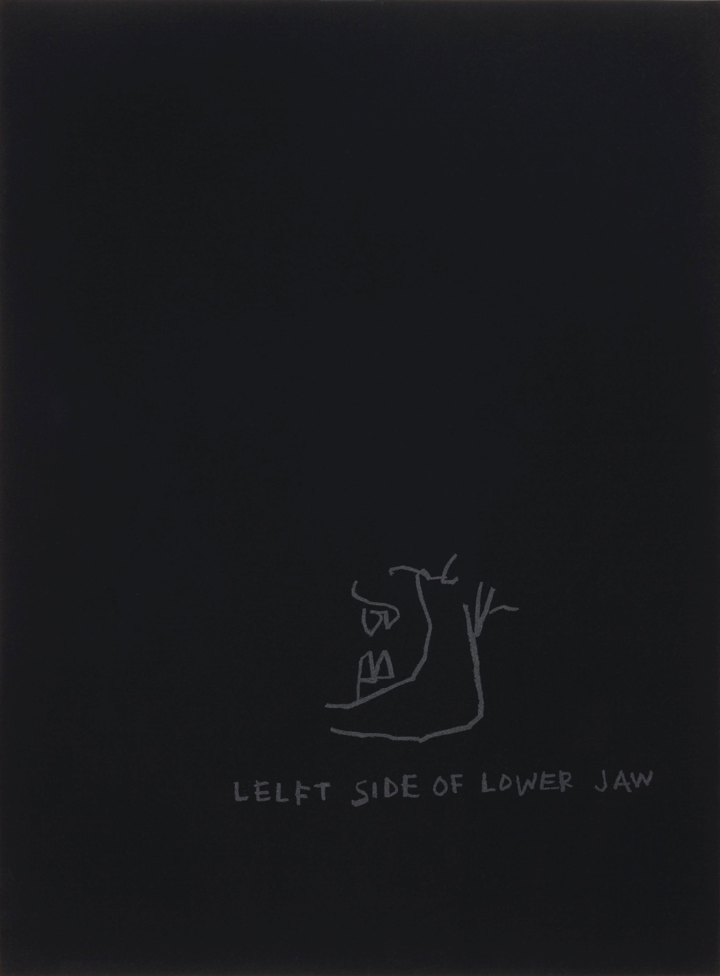 Jean-Michel Basquiat - Left side of lower Jaw, from Anatomy