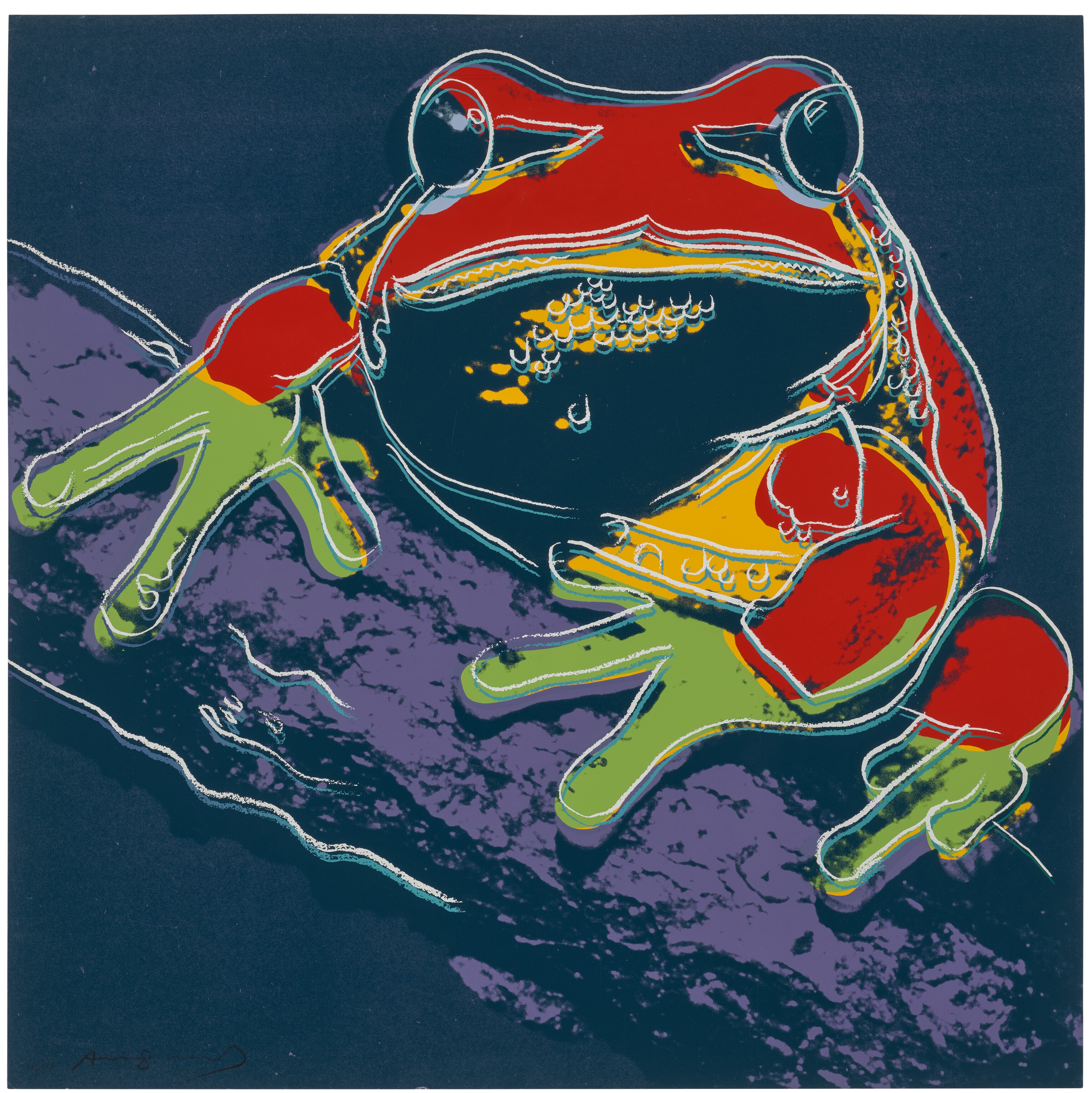 Andy Warhol - Pine Barrens Tree Frog, from Endangered Species