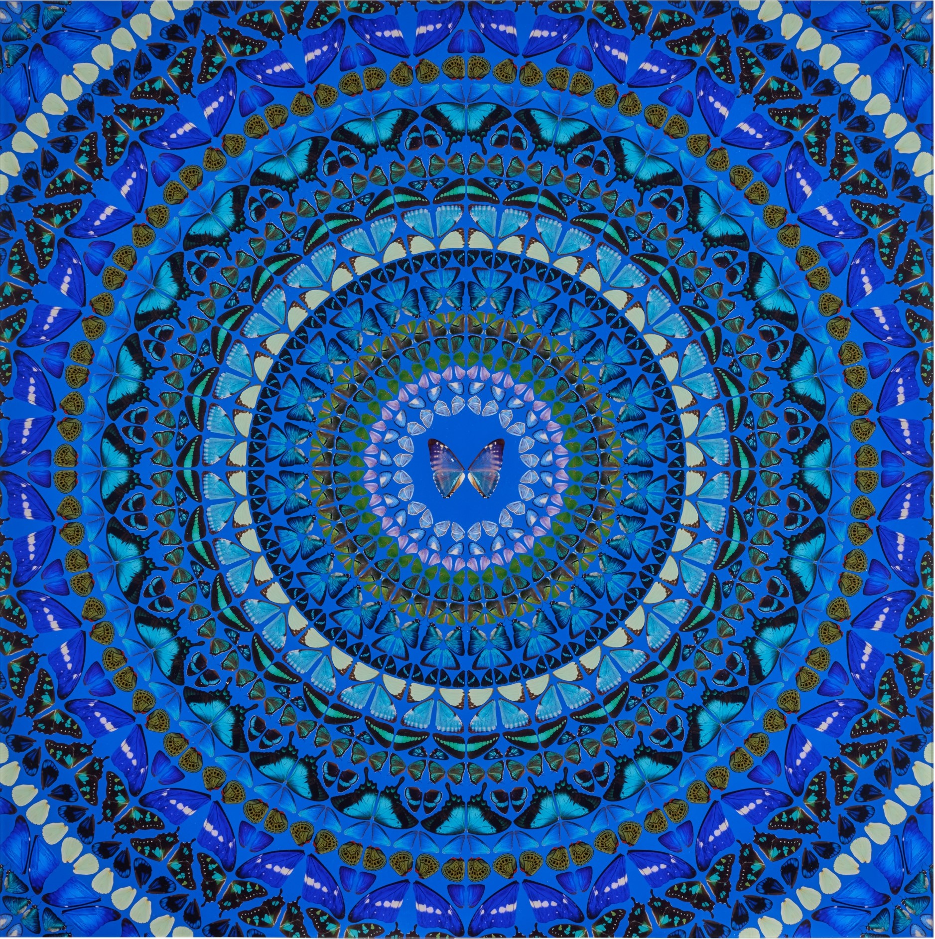 Damien Hirst - Water (H6-9), from The Elements
