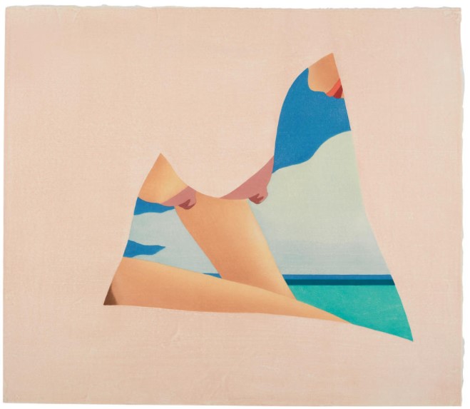 Tom Wesselmann - Seascape Dropout