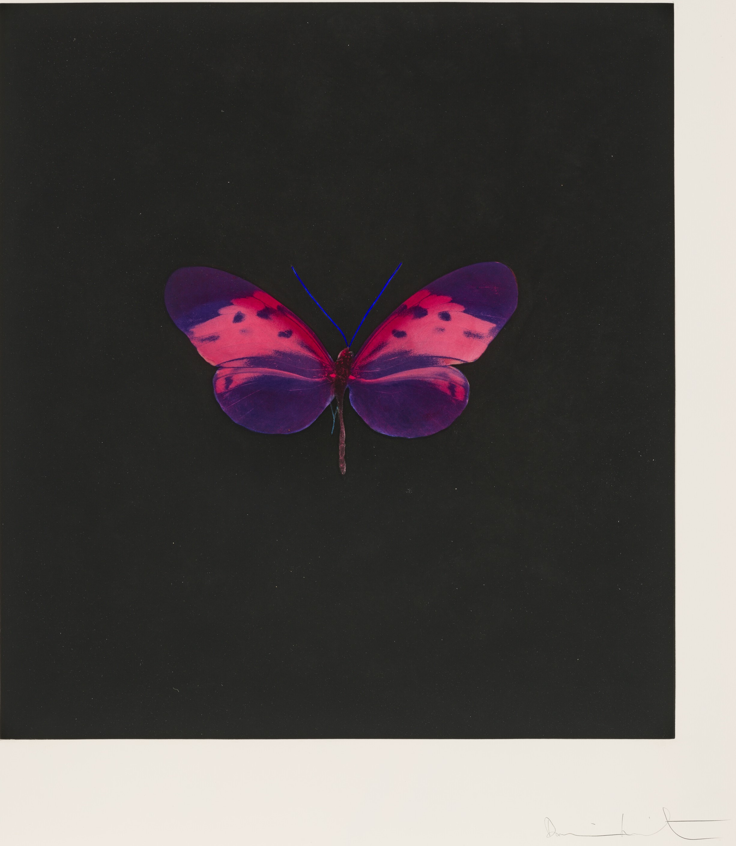 Damien Hirst - Plate 4, from: Memento