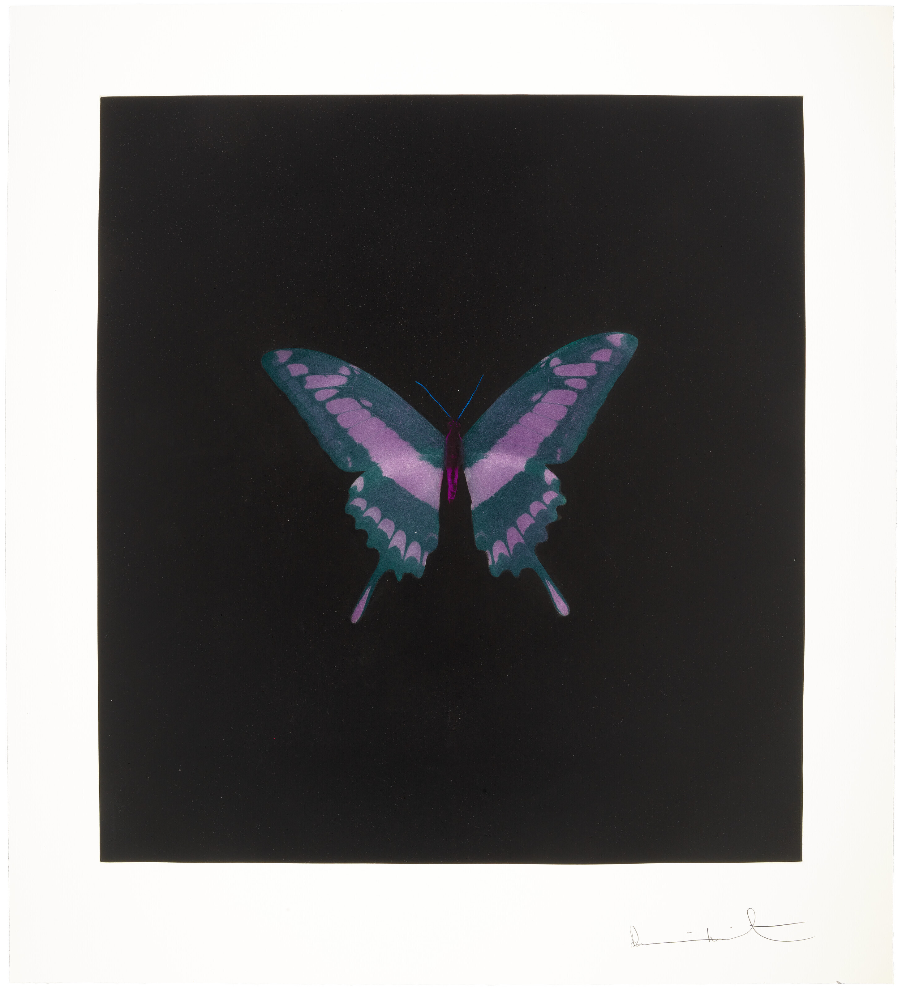 Damien Hirst - Memento: One Print