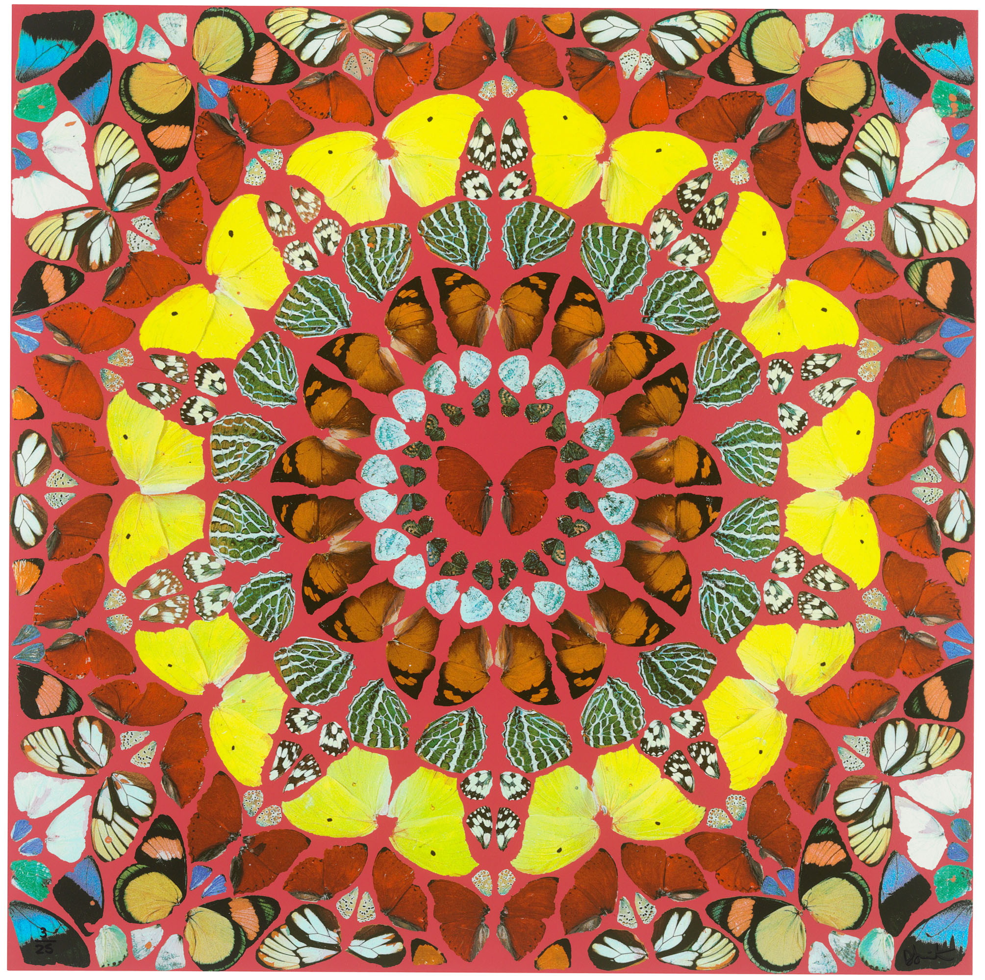 Damien Hirst - Judica Domino, from the series: Psalm