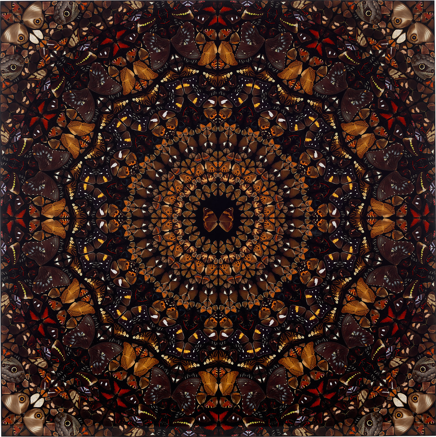 Damien Hirst - Earth, from The Elements (H6-6)