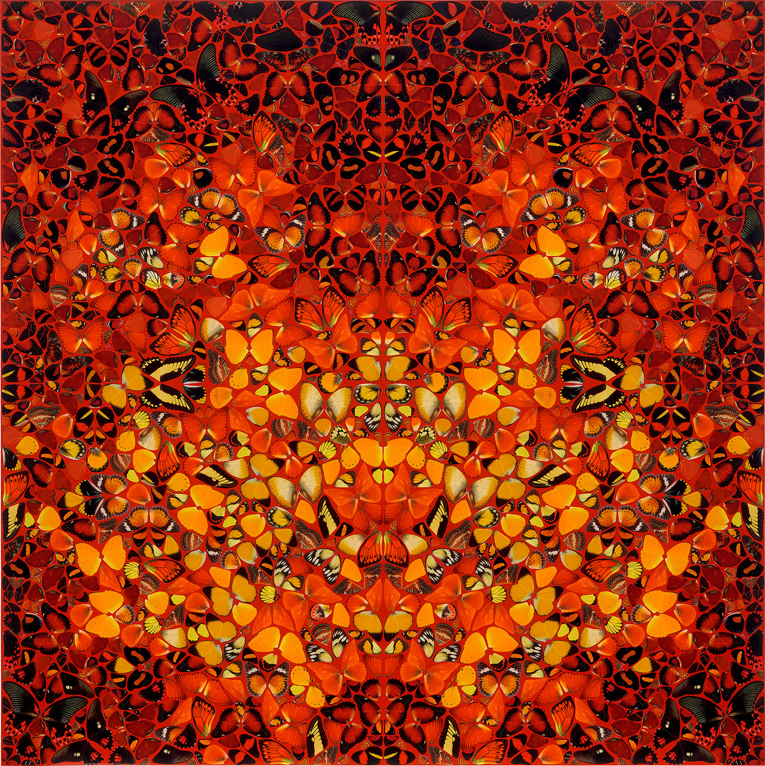 Damien Hirst - Fire, from The Elements (H6-8)