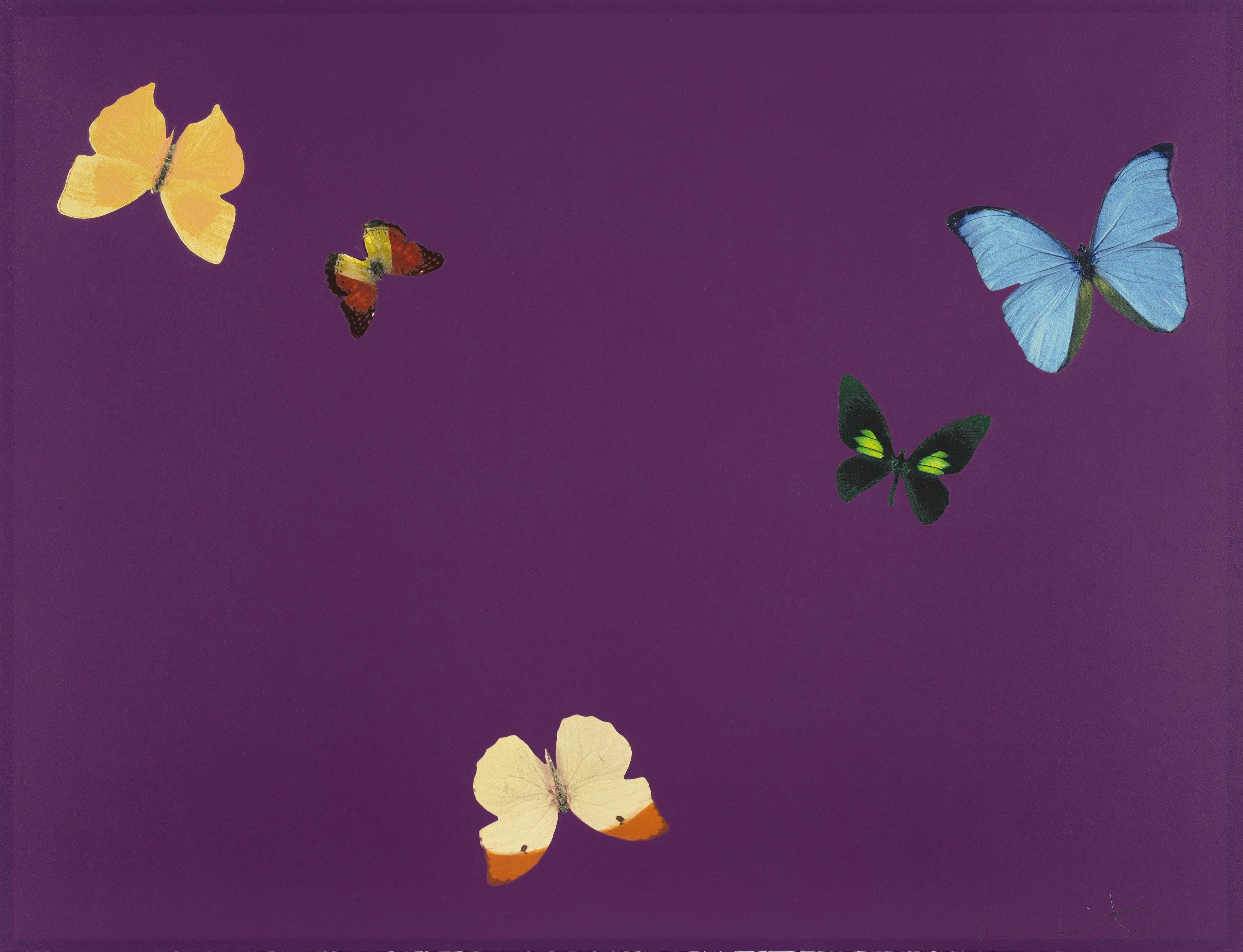 Damien Hirst - Be Thoughtful, from Lessons in Love
