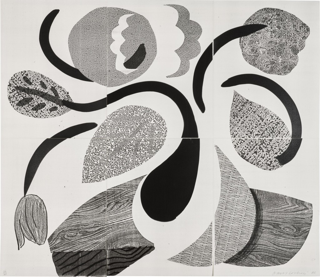 David Hockney - Dancing Flowers (MCA Tokyo 307)