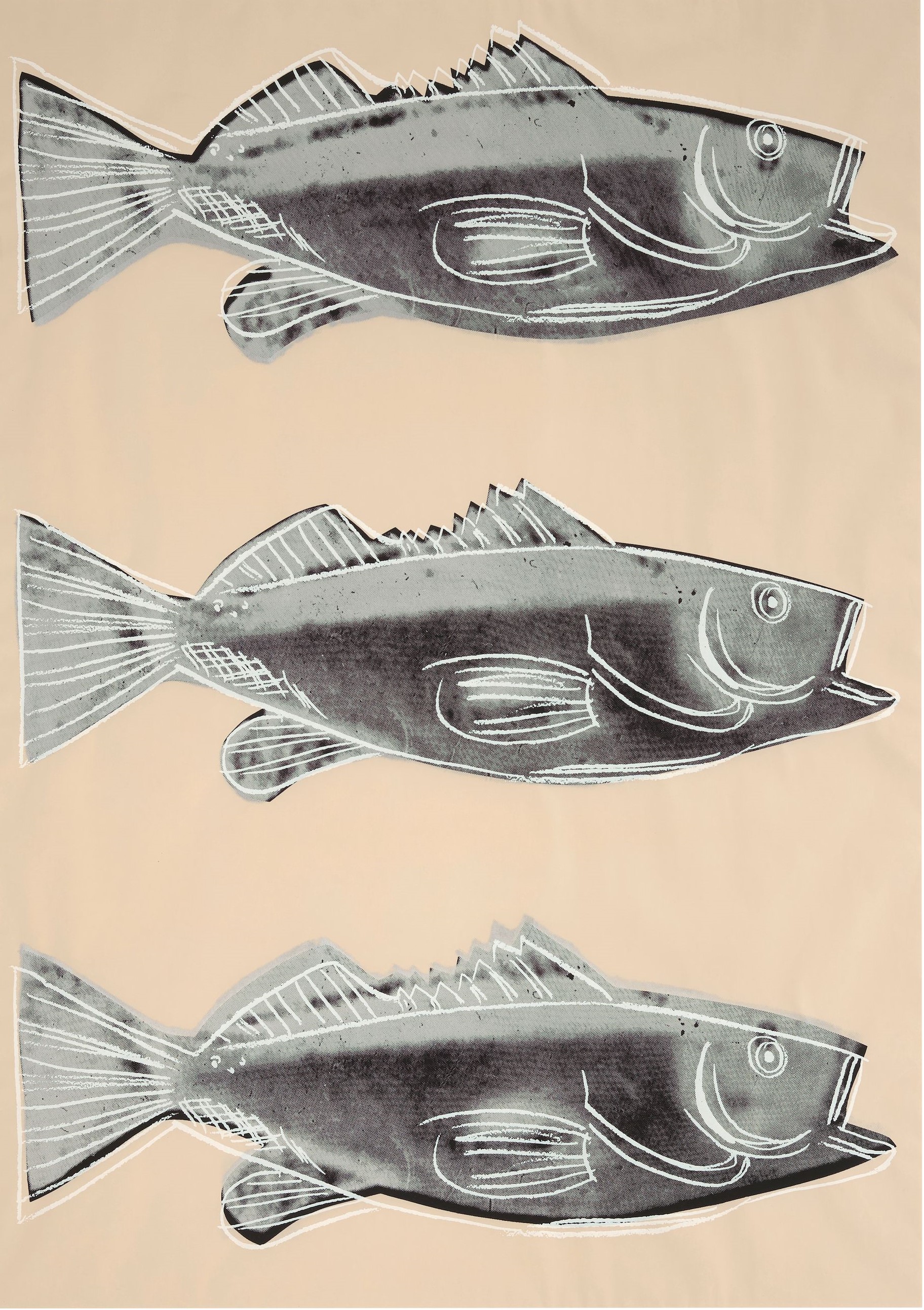 Andy Warhol - Fish (Feldman & Schellmann IIIA.39), 1983