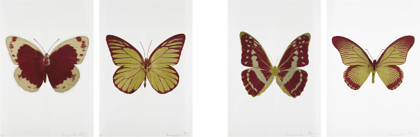 Damien Hirst - Four works: (i) Souls I (ii) Soul II (iii) Soul III (iv) Soul IV