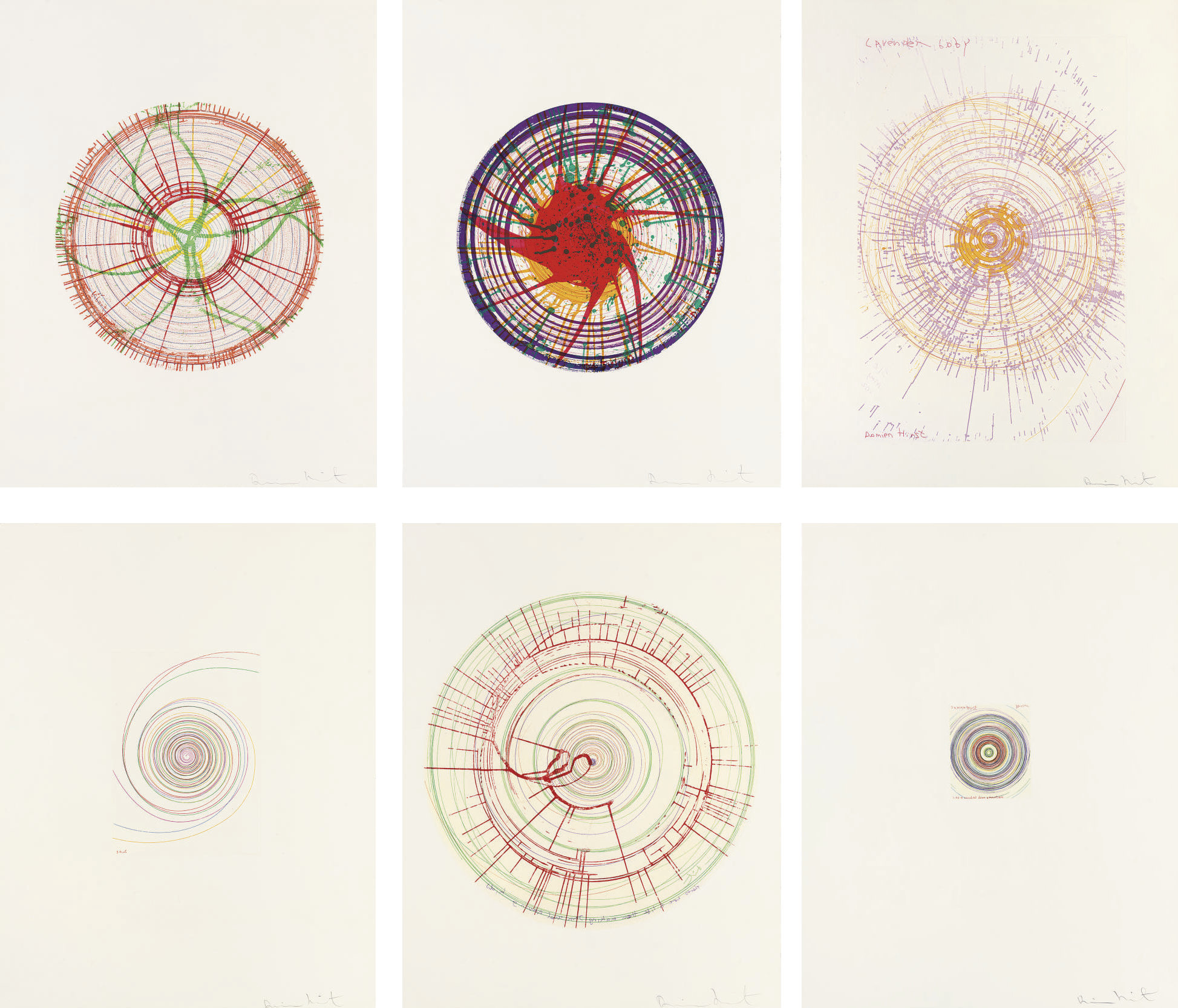 Damien Hirst - In a Spin, The Action of the World on Things, Volume I