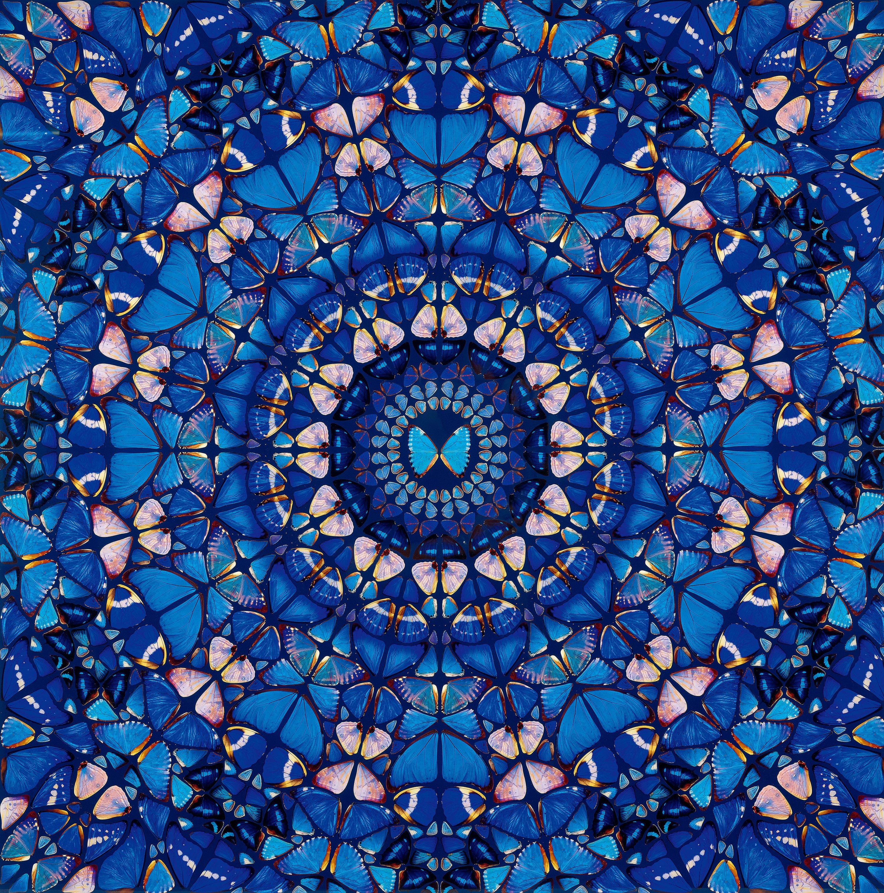 Damien Hirst - Truth, from The Aspects (H6-5)