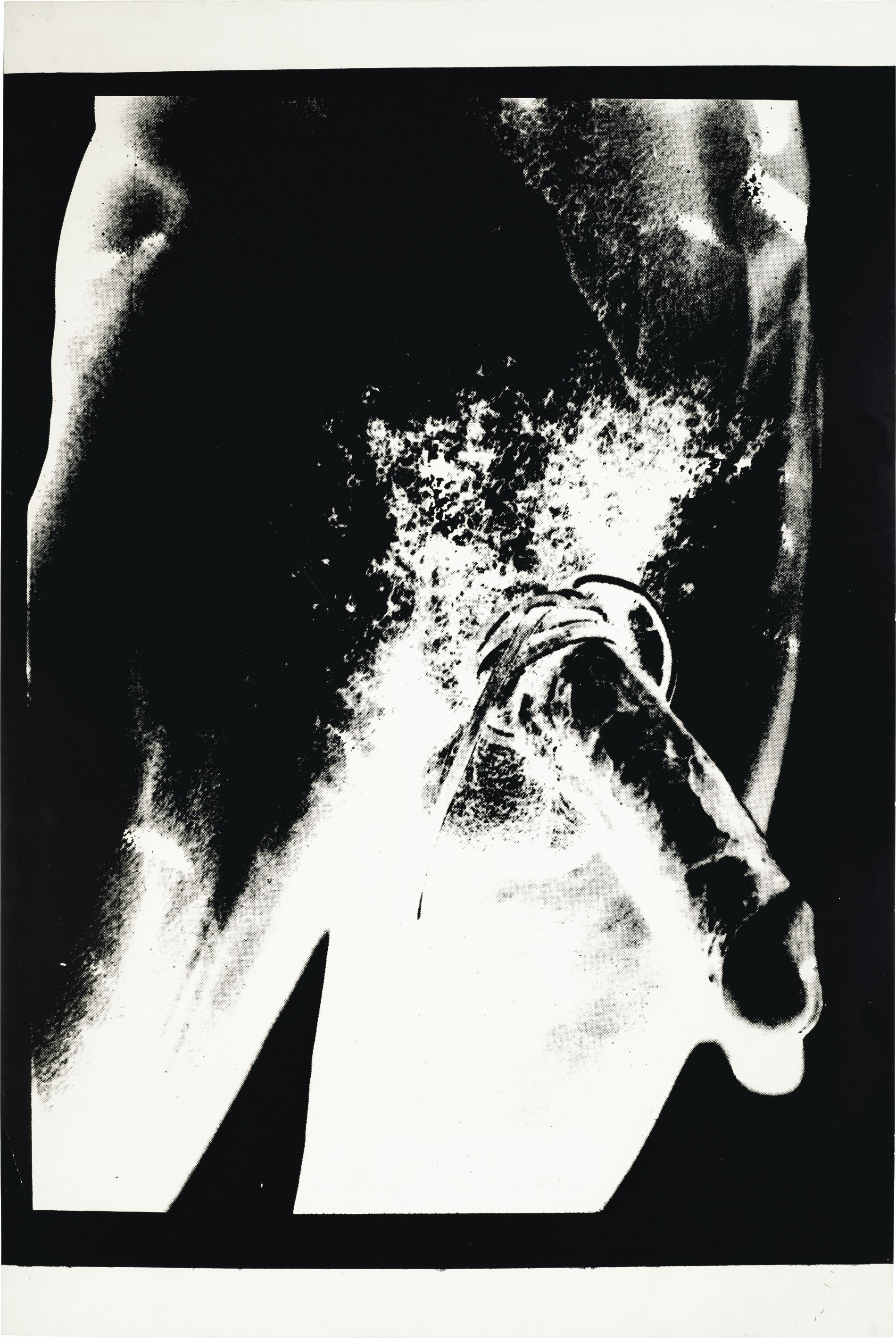 Andy Warhol - Torso