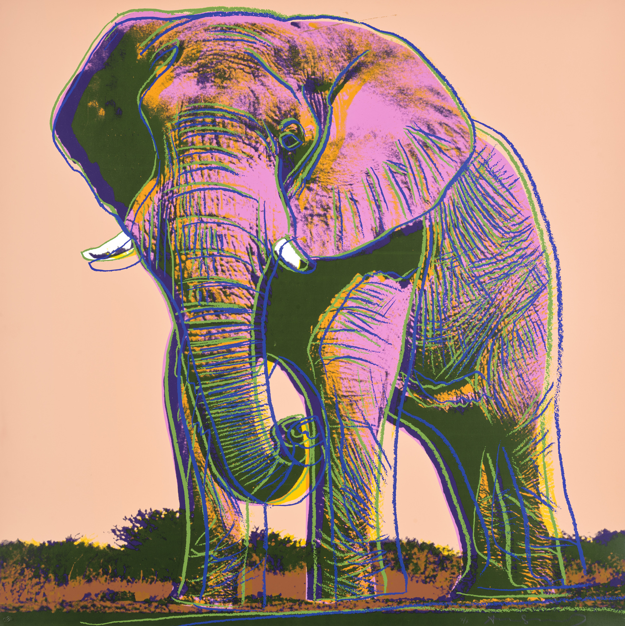 Andy Warhol - African Elephant, from Endangered Species (F. & S. 293)