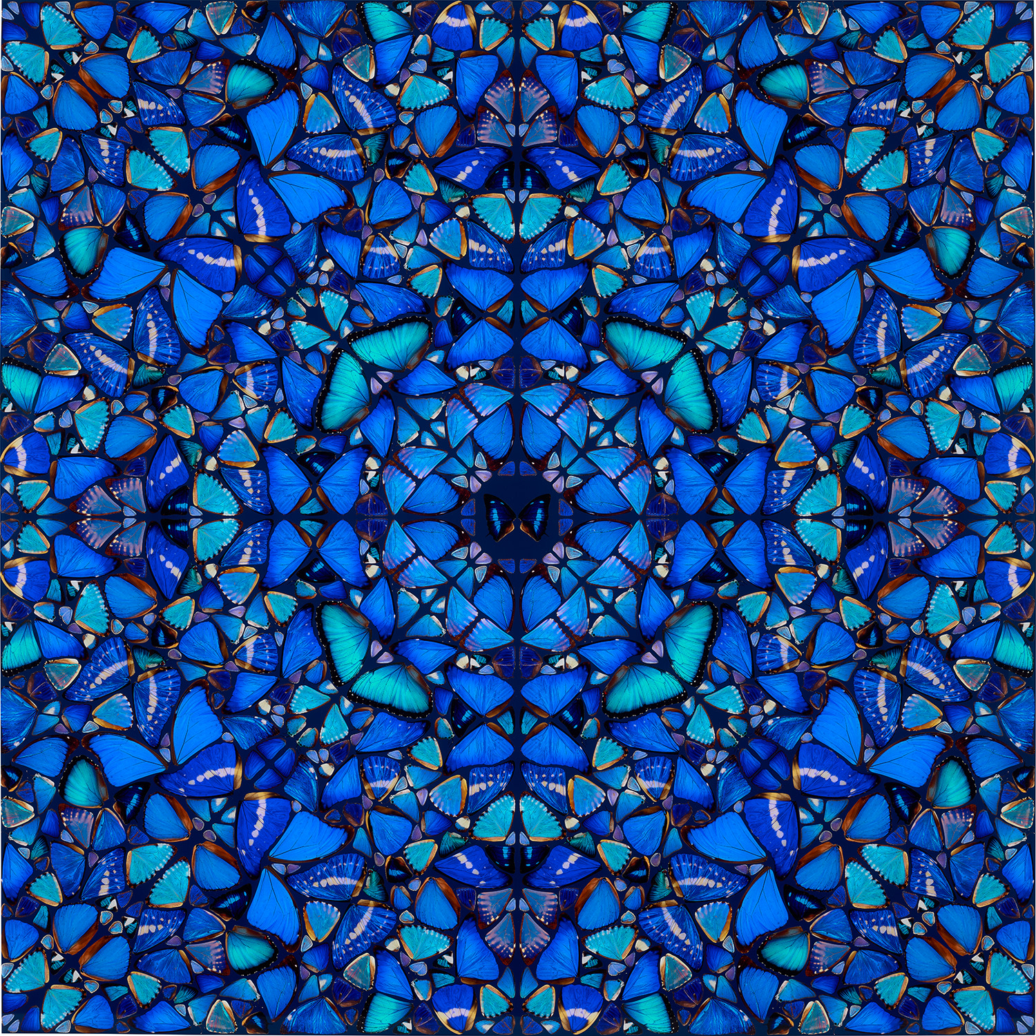Damien Hirst - Patience, from The Aspects (H6-3)