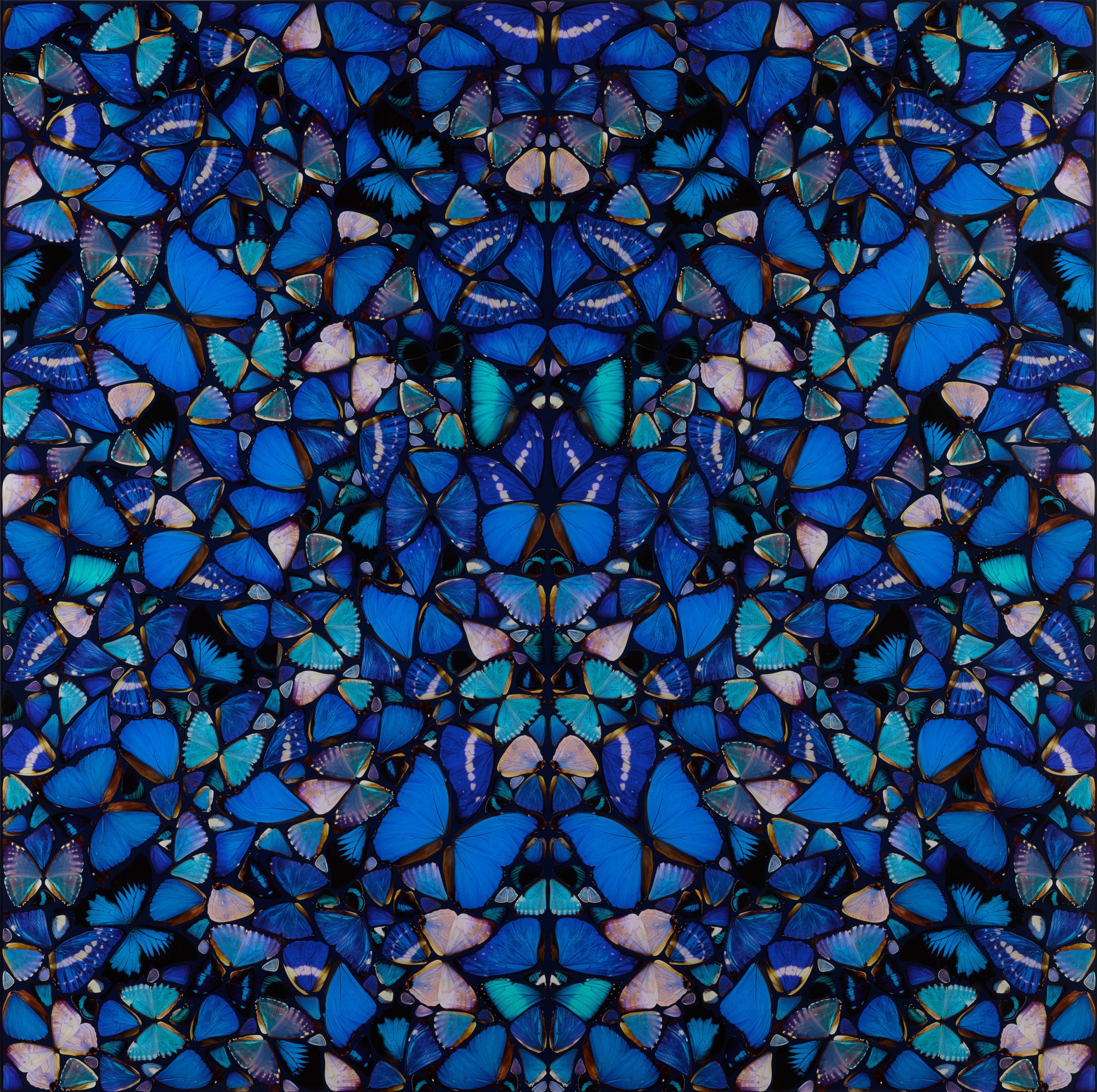 Damien Hirst - Mercy, from The Aspects (H6-1)