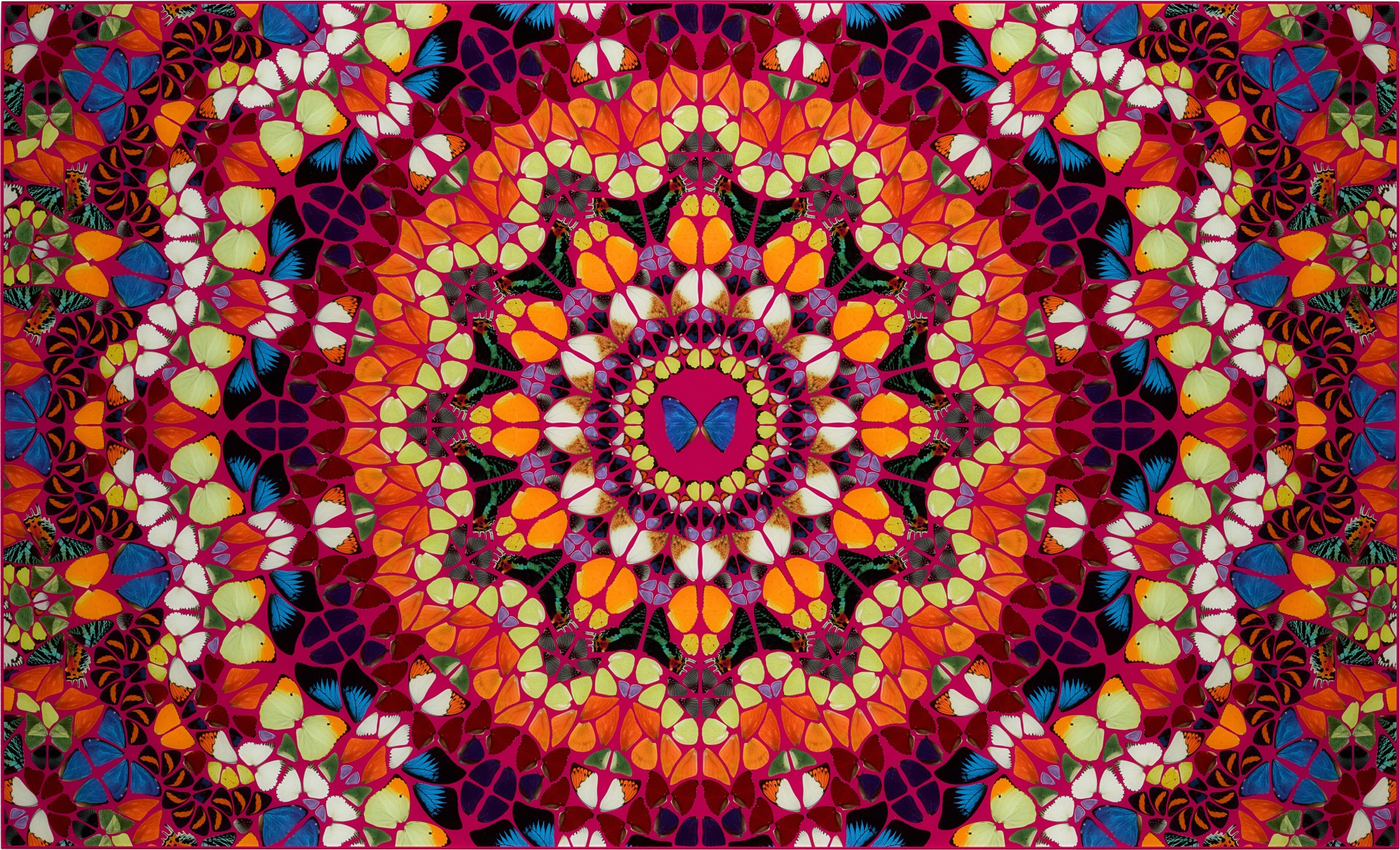 Damien Hirst - Harlequin, from The Kaleidoscopes (H18-1)