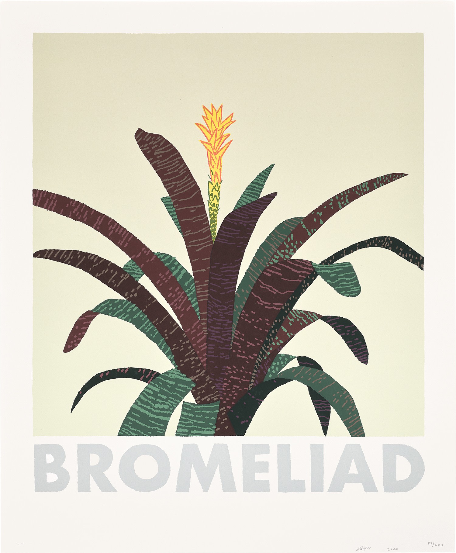 Jonas Wood - Bromeliad