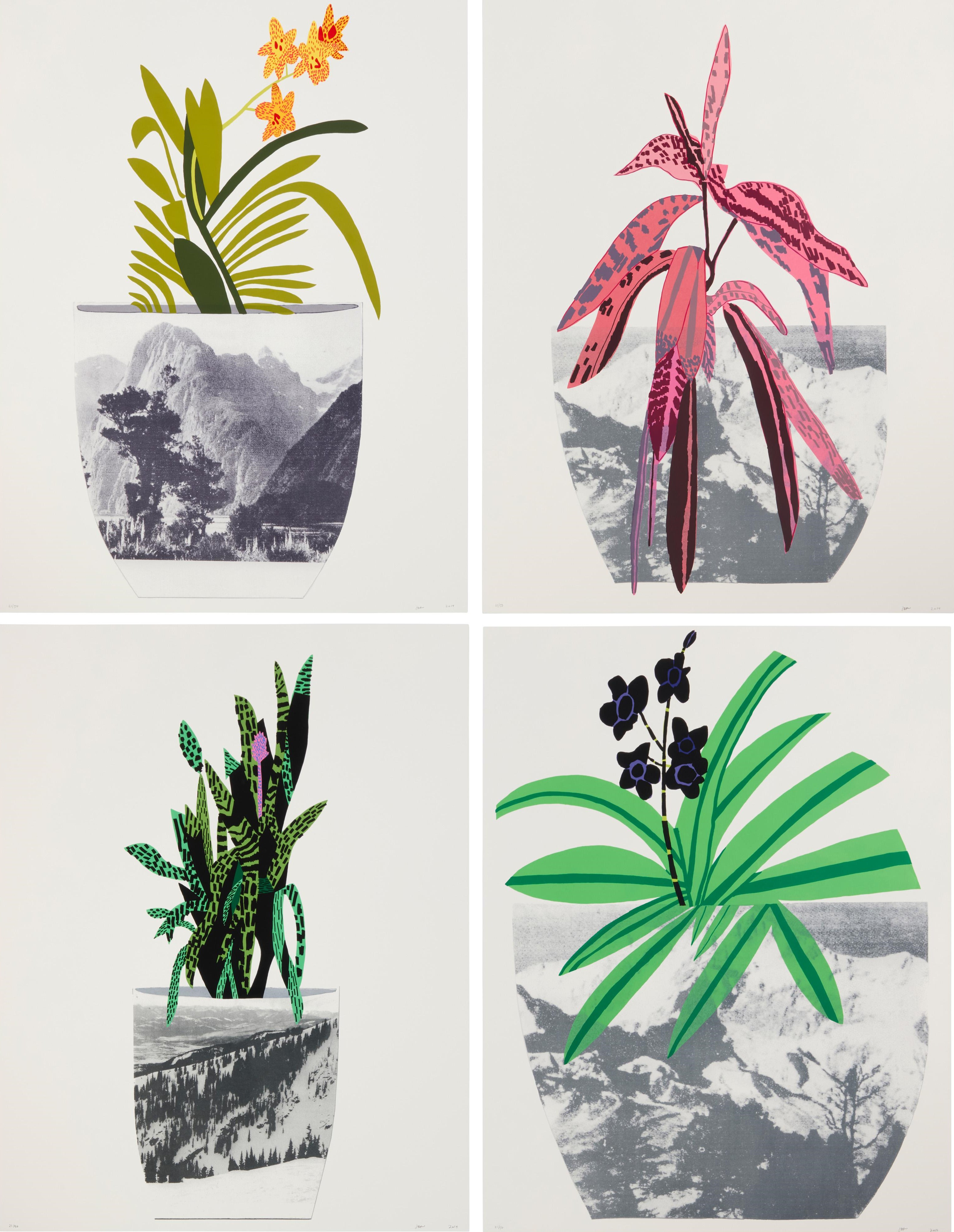 Jonas Wood - Untitled, 2014