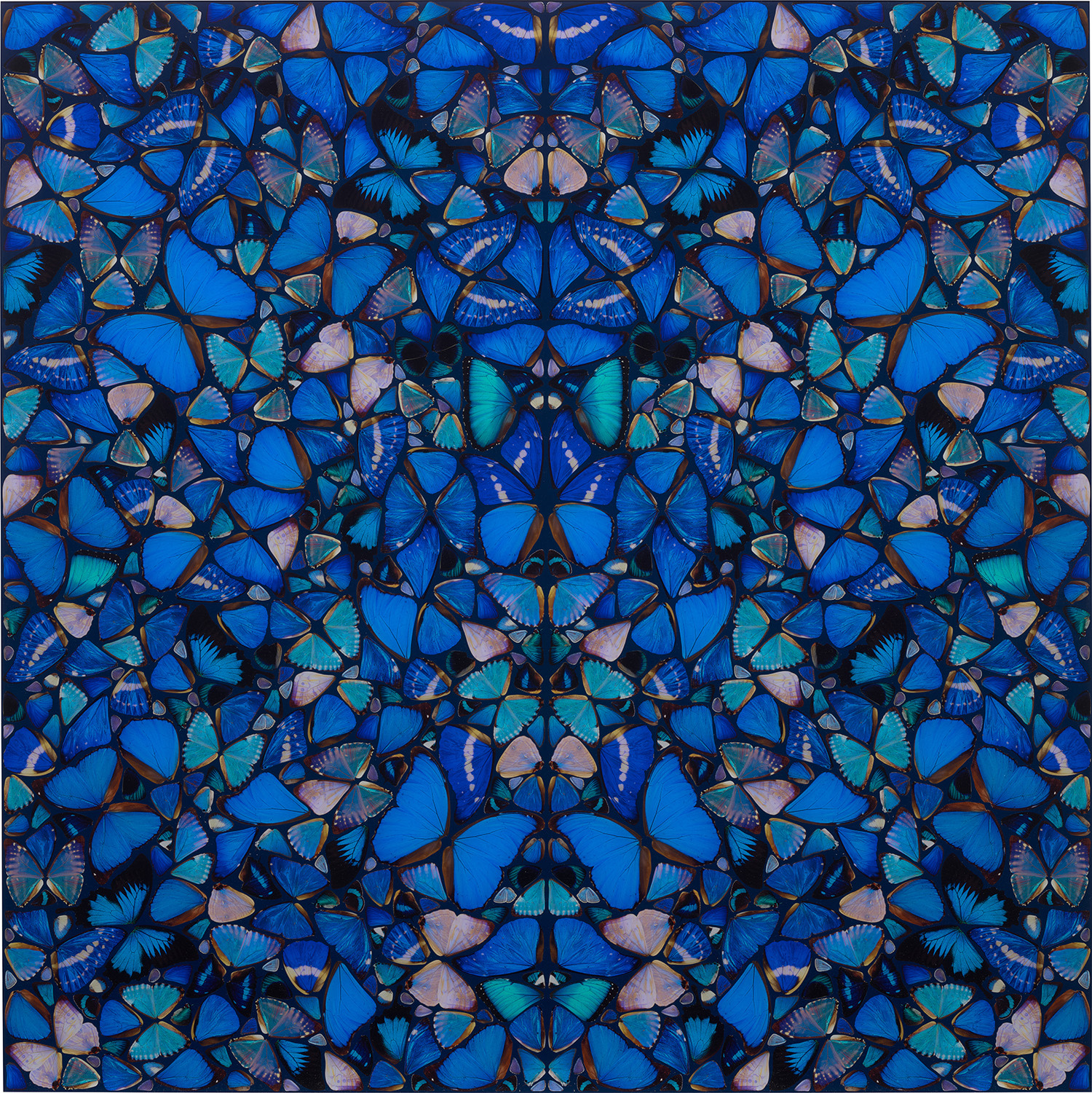Damien Hirst - Mercy, from The Aspects (H6-1)