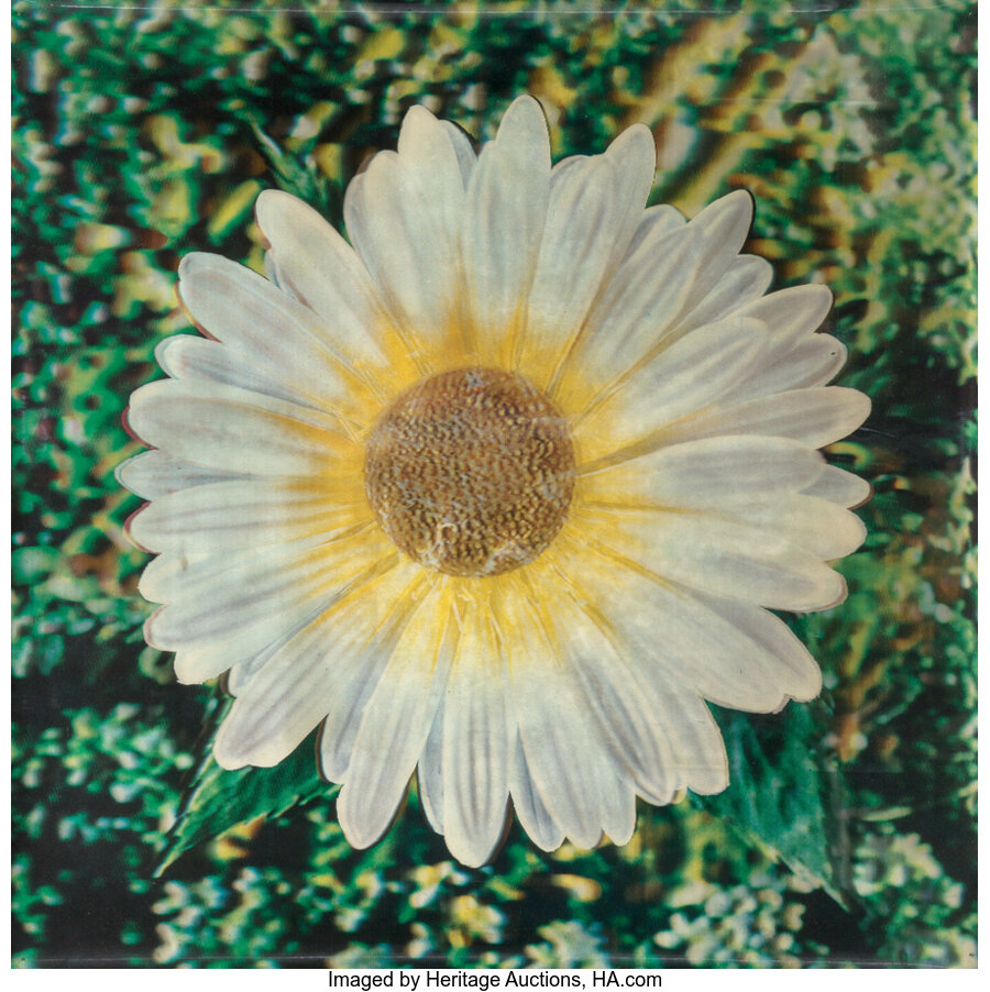 Andy Warhol - Untitled, from Rain Machine (Daisy Waterfall)