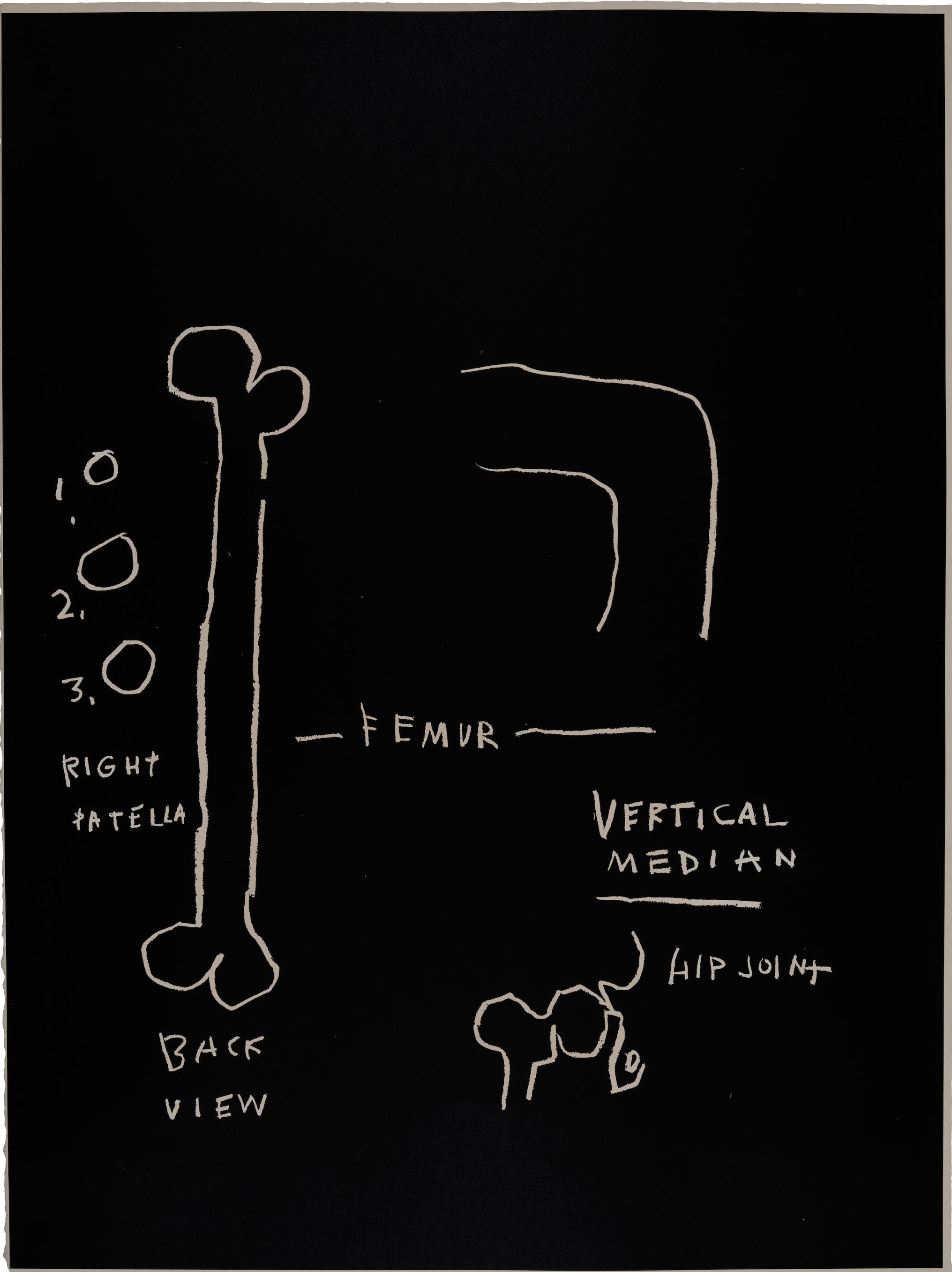 Jean-Michel Basquiat - Femur, from Anatomy
