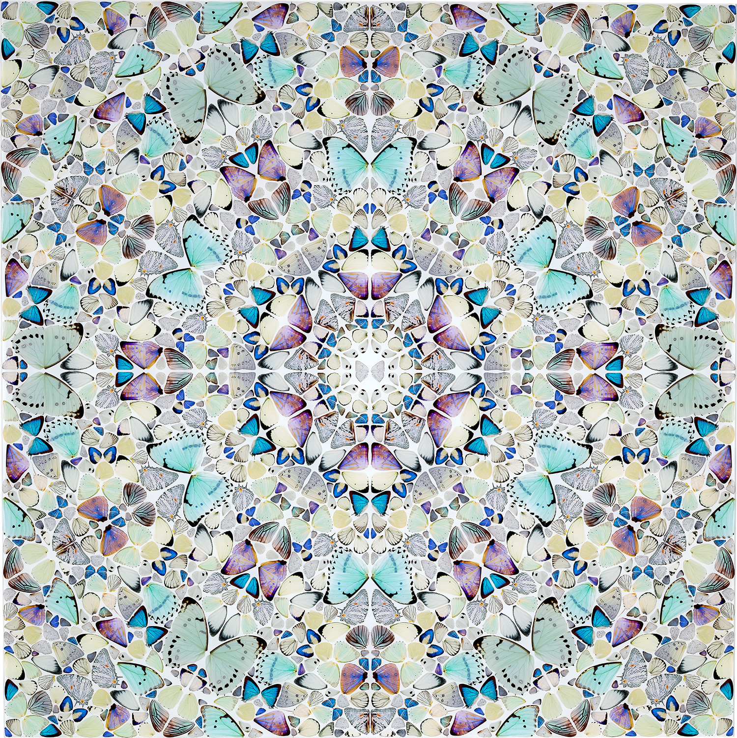Damien Hirst - Air, from The Elements (H6-7)