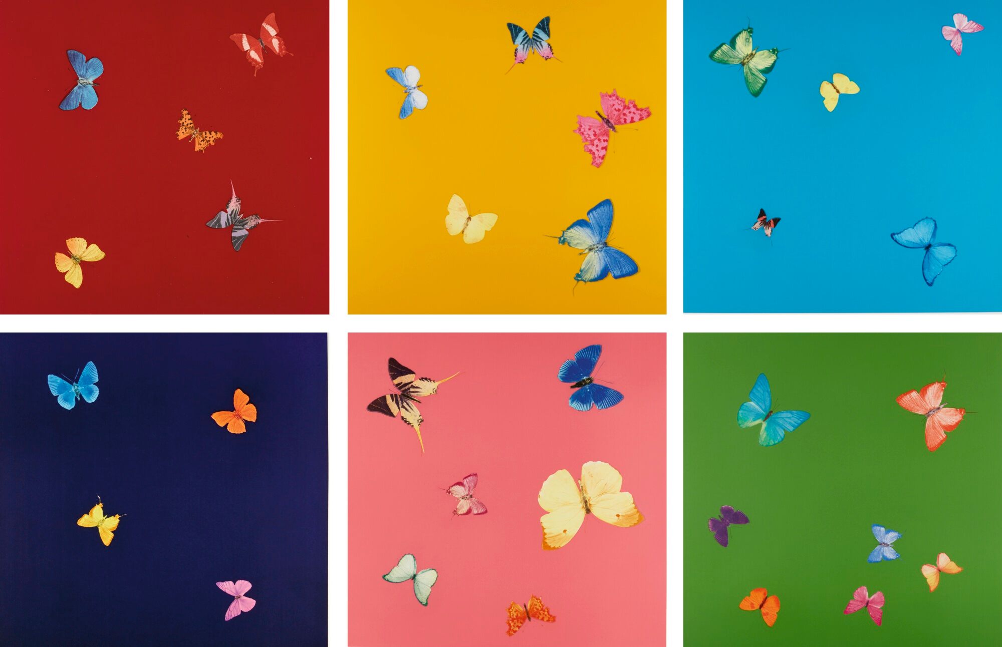 Damien Hirst - Love Poems