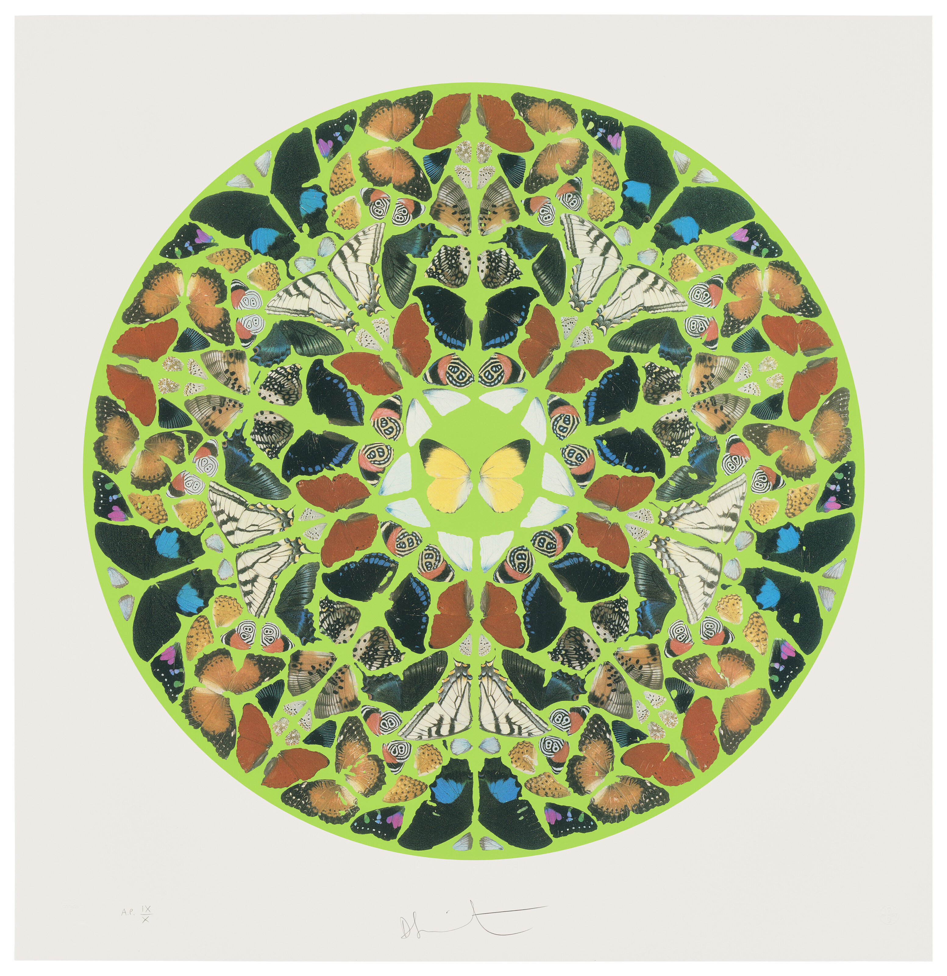 Damien Hirst - Psalm: Domini est terra