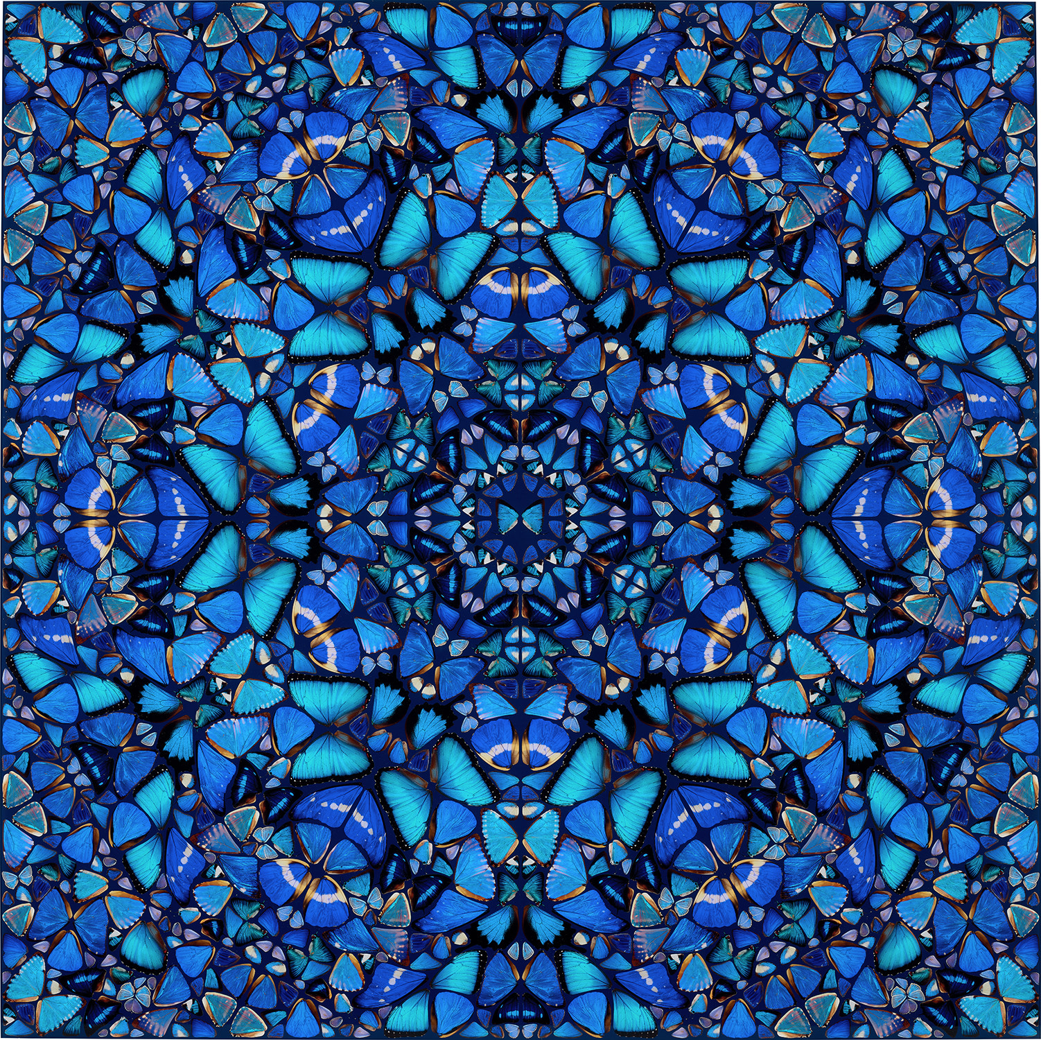 Damien Hirst - Goodness, from The Aspects (H6-4)