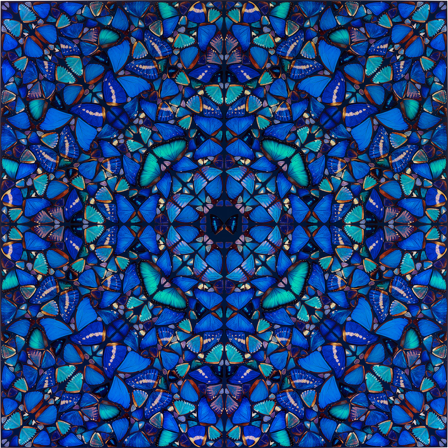 Damien Hirst - Patience, from The Aspects (H6-3)