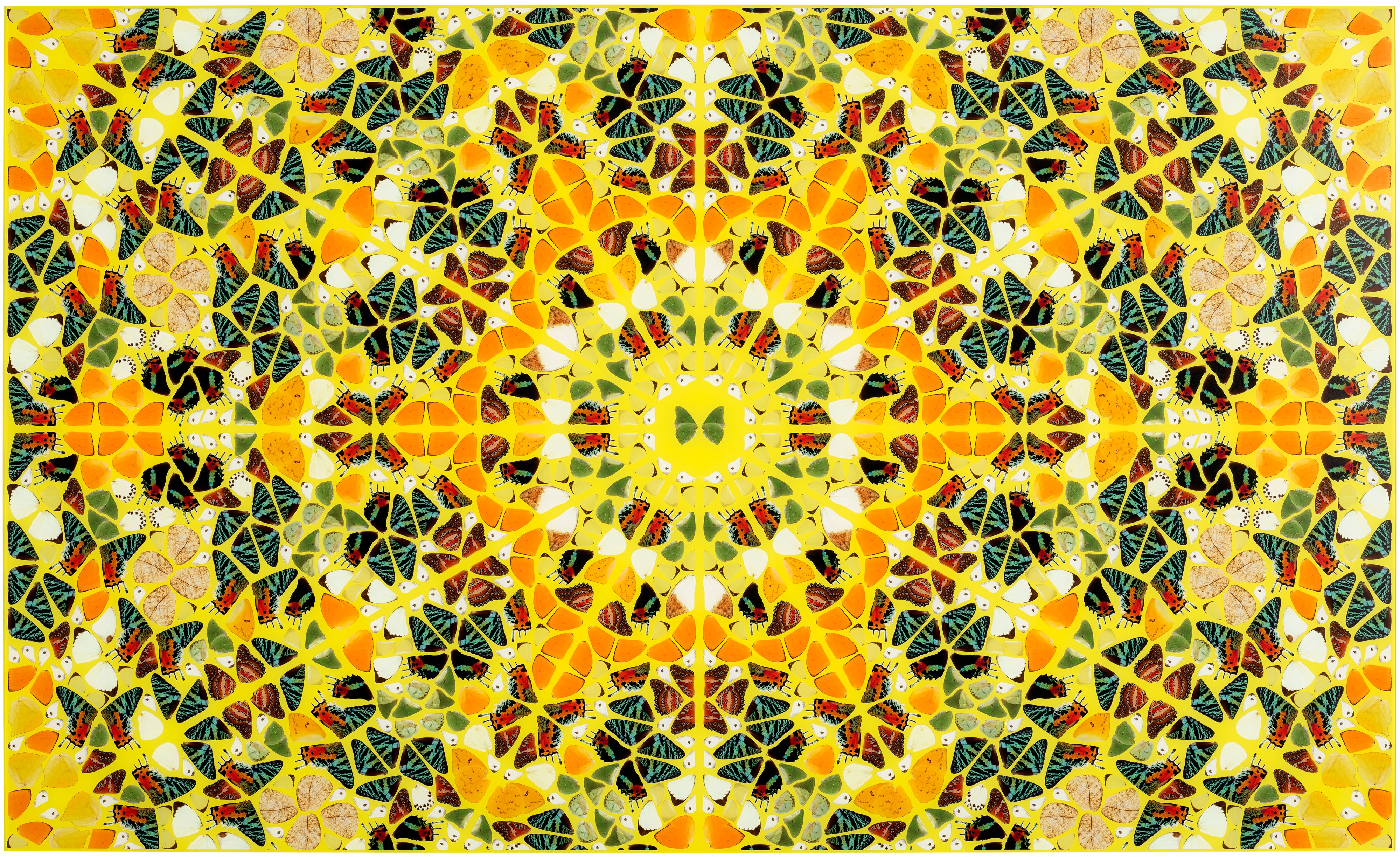 Damien Hirst - Splendour, from The Kaleidoscopes (H18-4)