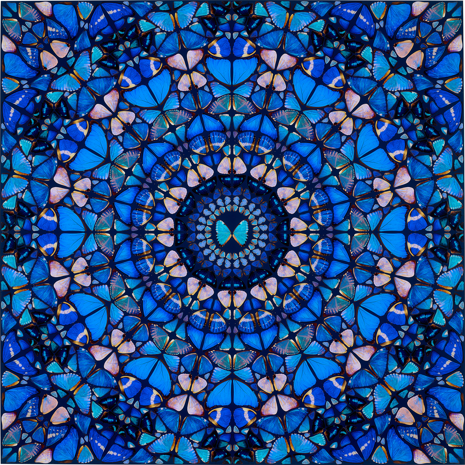 Damien Hirst - Truth, from The Aspects (H6-5)