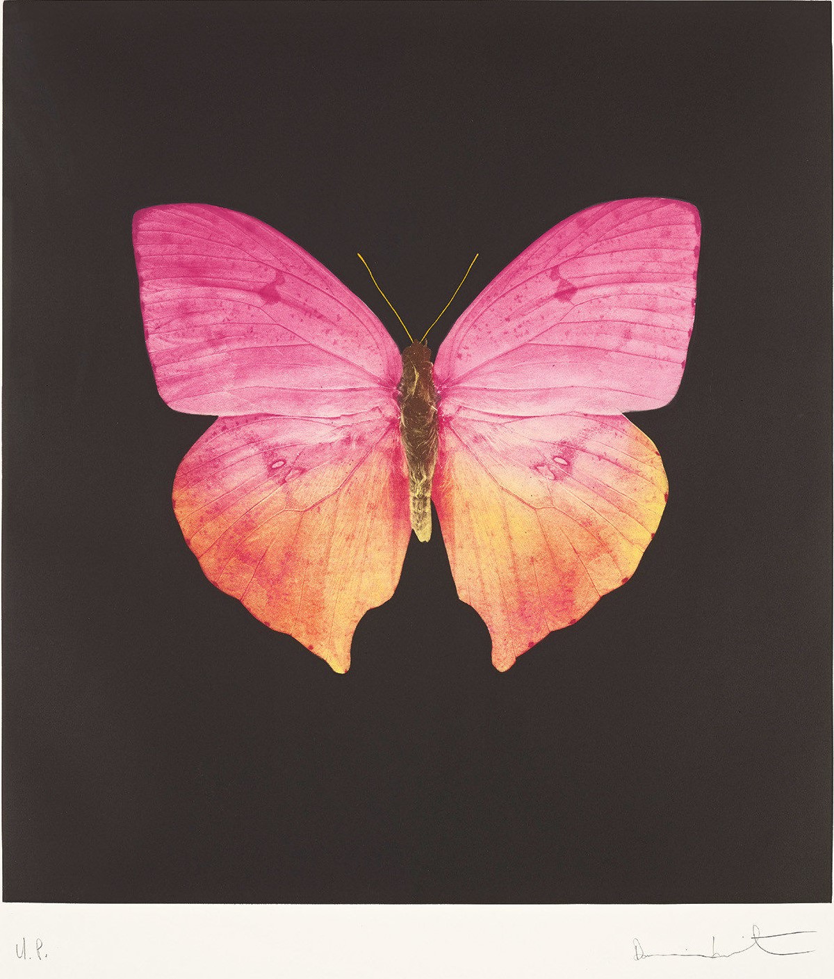 Damien Hirst - The Souls on Jacob's Ladder Take Their Flight (Unique)