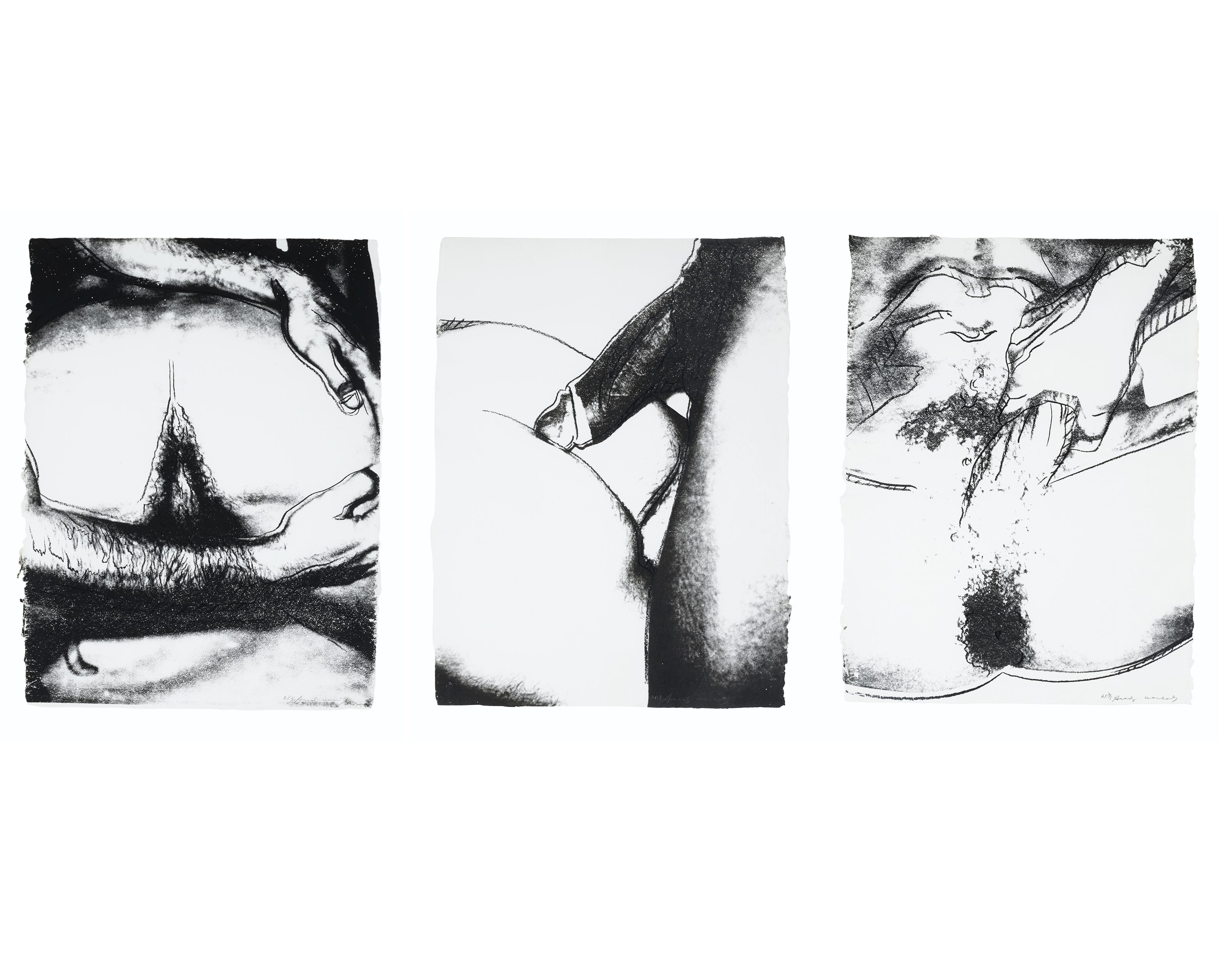 Andy Warhol - Sex Parts