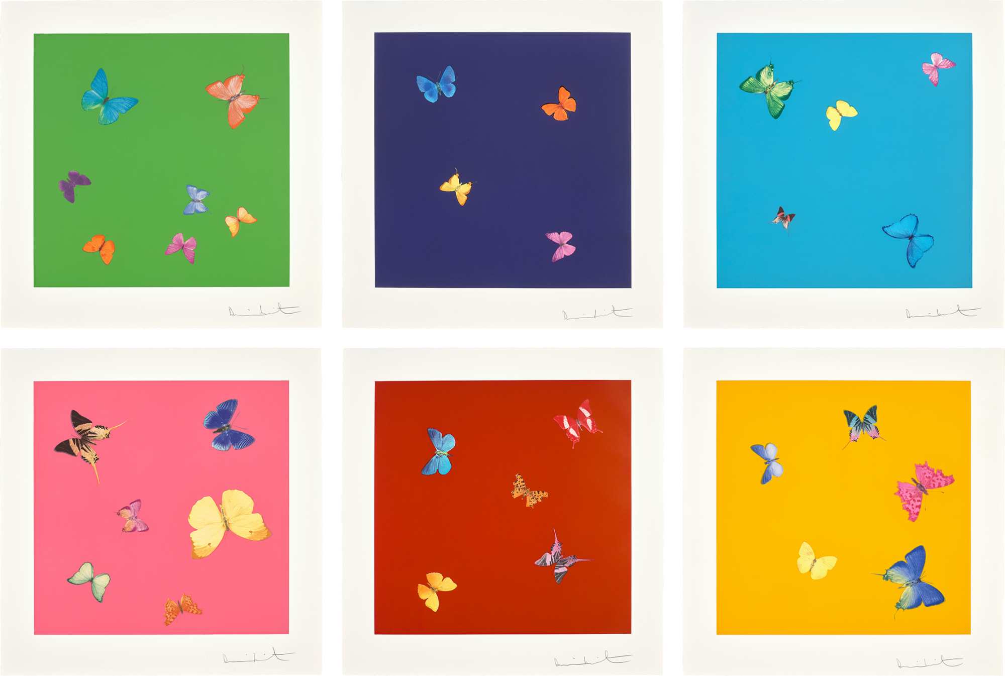 Damien Hirst - Love Poems
