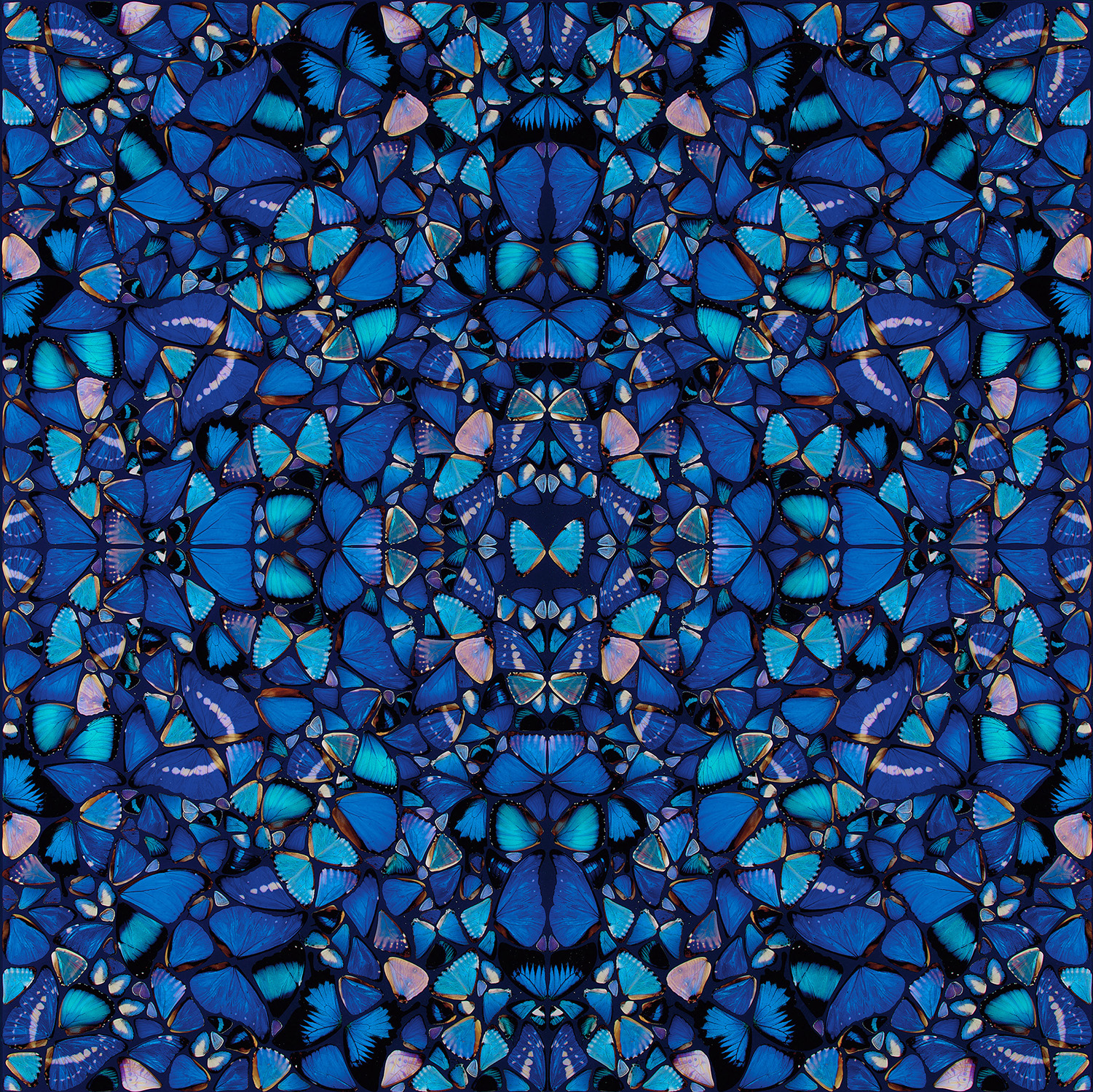 Damien Hirst - Grace, from The Aspects (H6-2)