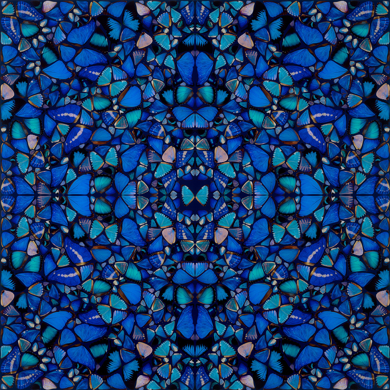 Damien Hirst - Grace, from The Aspects (H6-2)